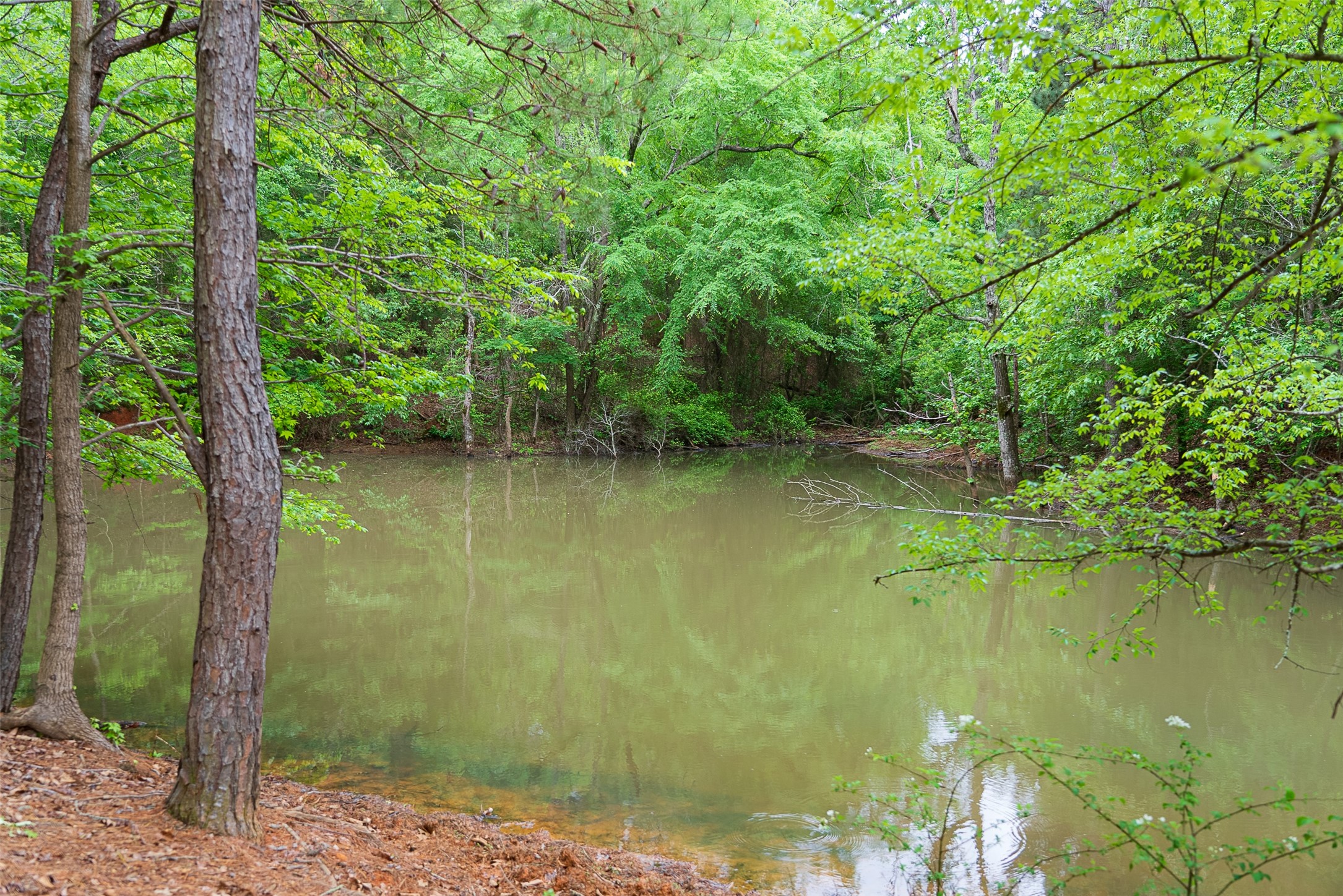 00 Tract 1 CR 1615, Jacksonville, TX, 75766
