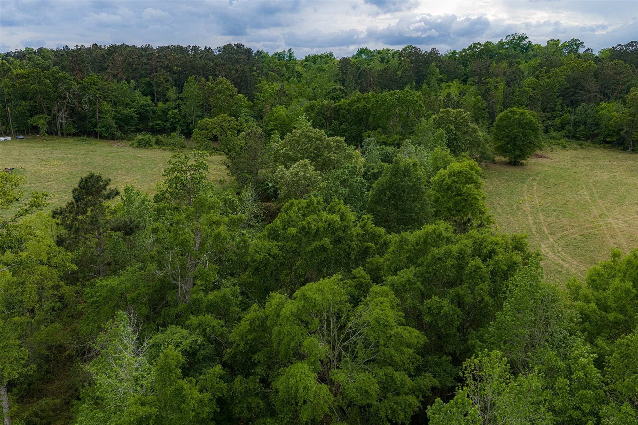 00 Tract 1 CR 1615, Jacksonville, TX, 75766