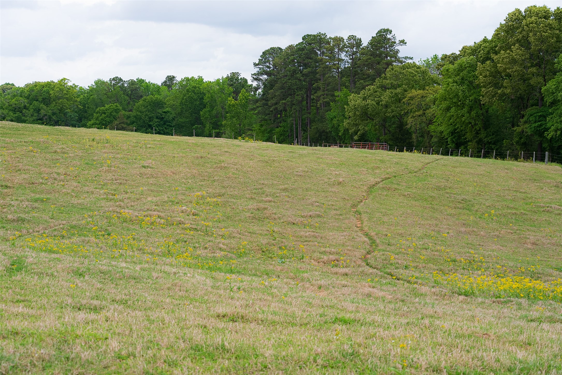 00 Tract 1 CR 1615, Jacksonville, TX, 75766
