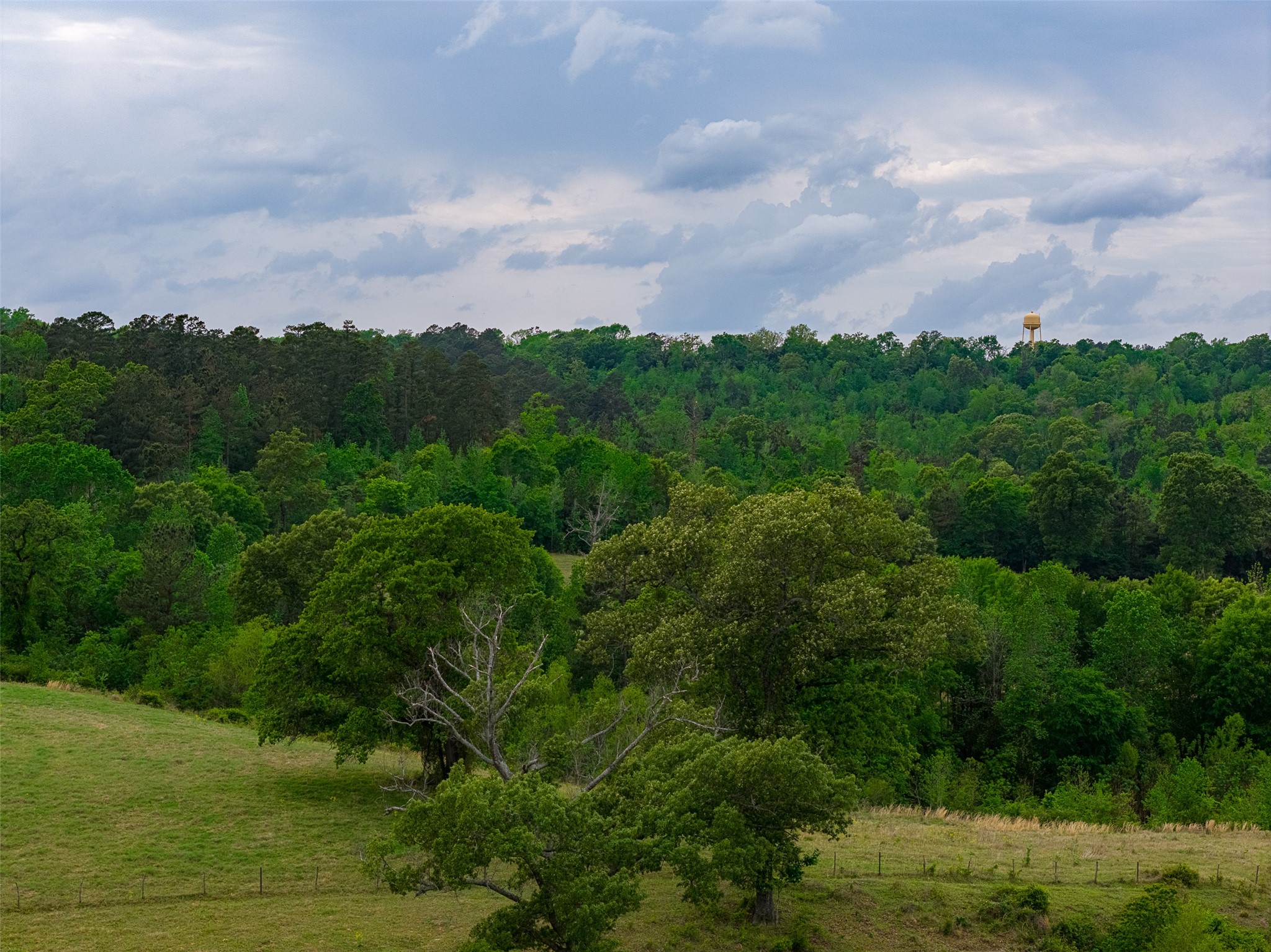 00 Tract 1 CR 1615, Jacksonville, TX, 75766