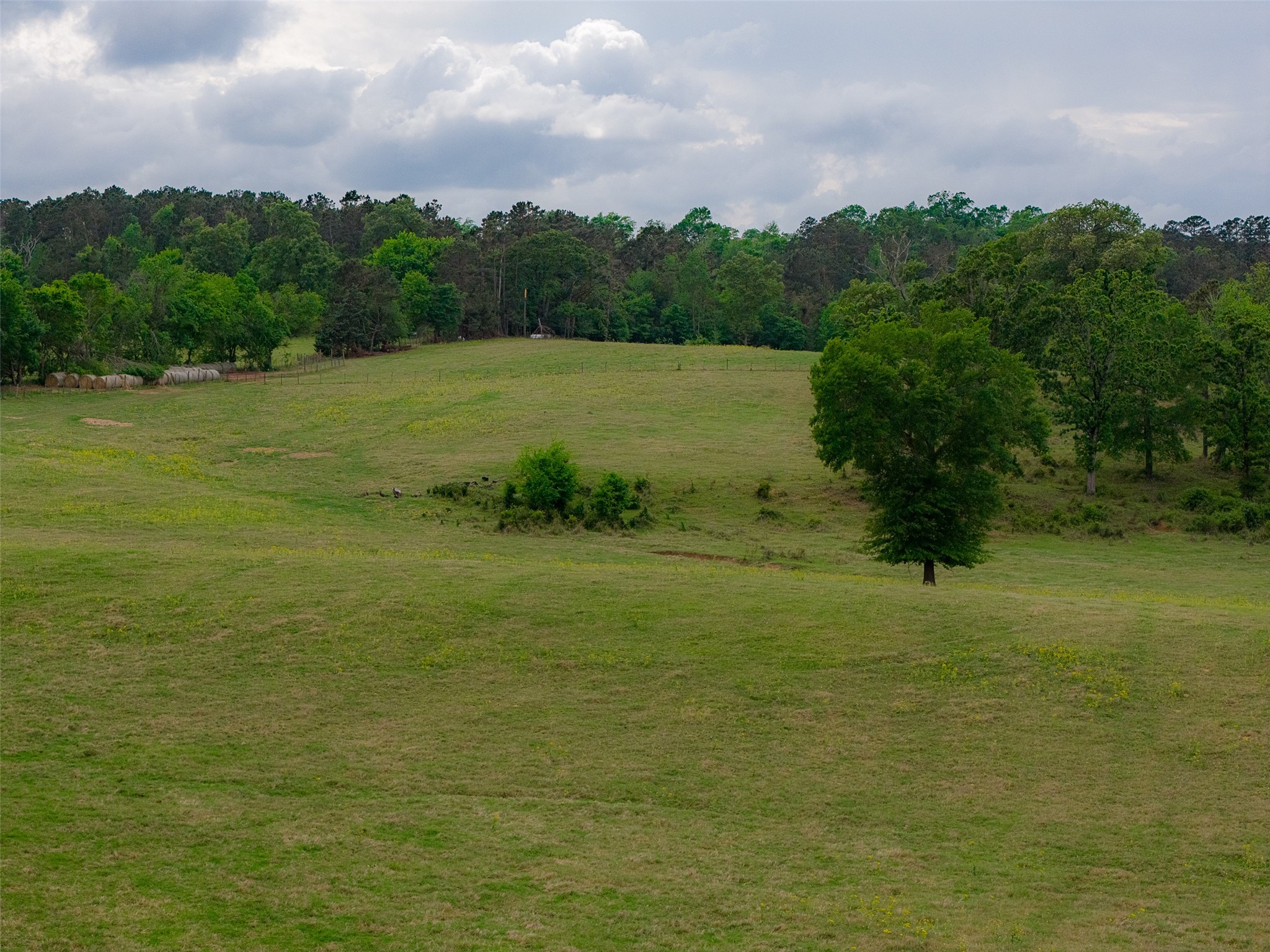 00 Tract 1 CR 1615, Jacksonville, TX, 75766