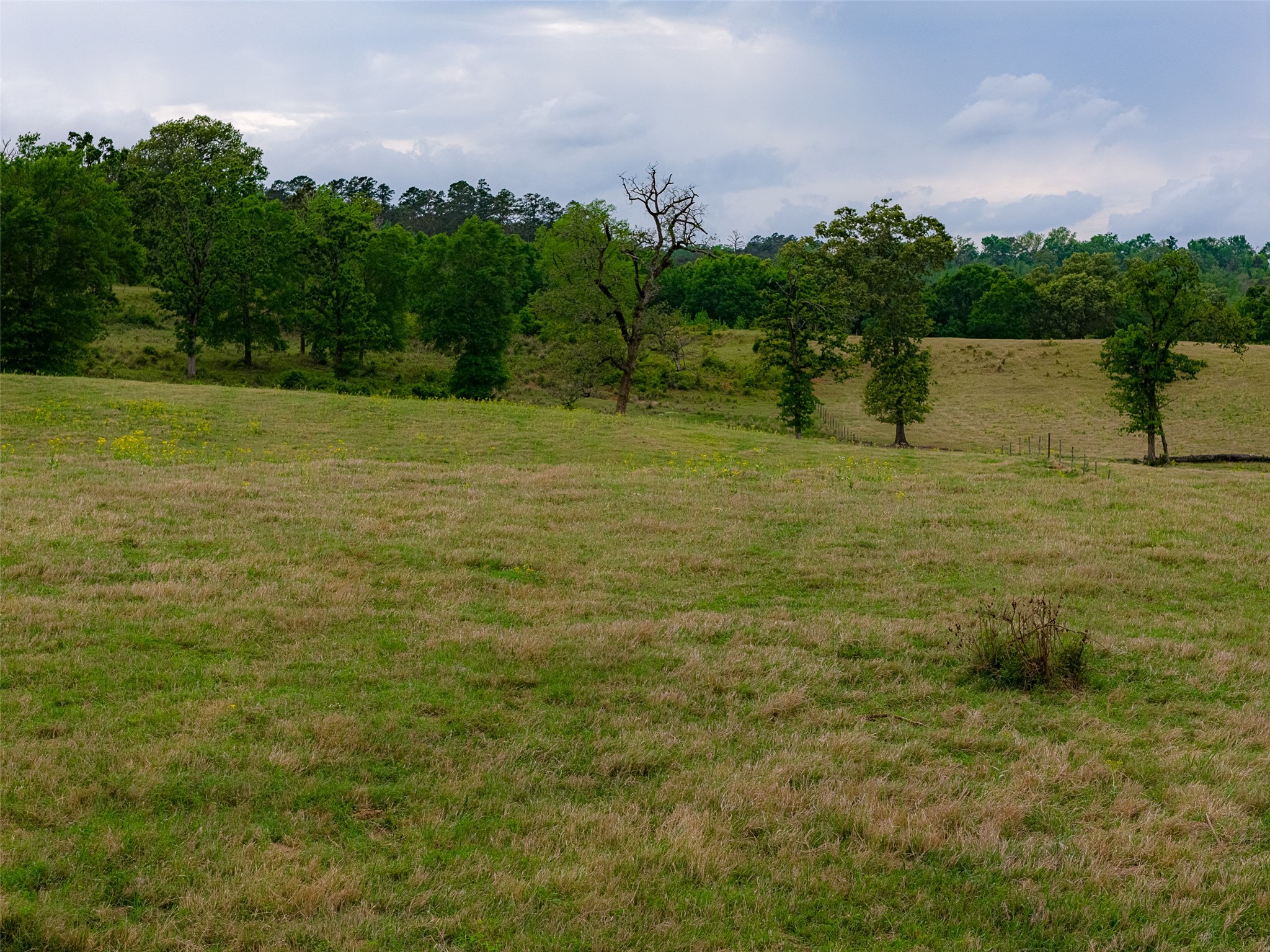 00 Tract 1 CR 1615, Jacksonville, TX, 75766