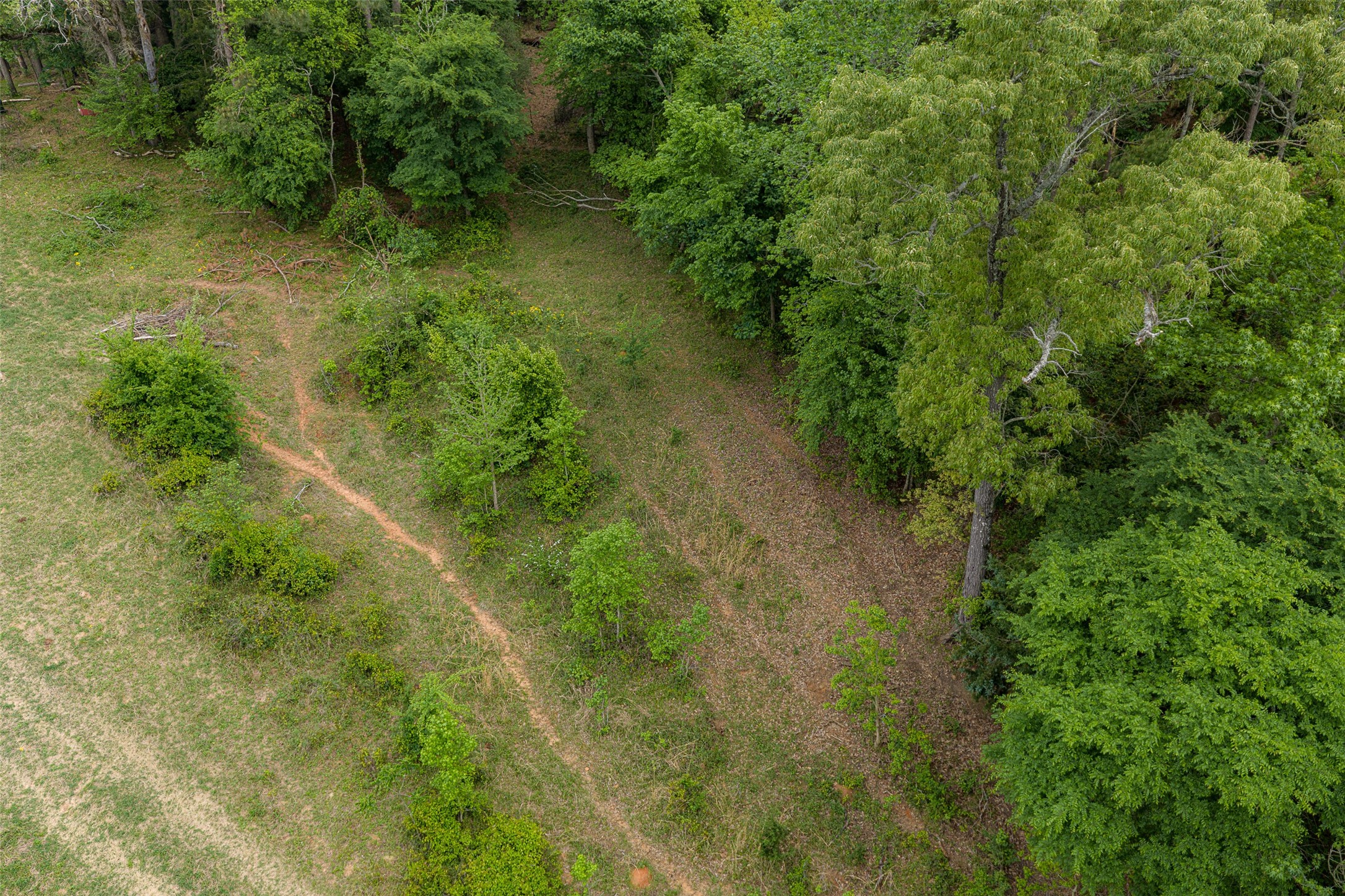 00 Tract 1 CR 1615, Jacksonville, TX, 75766