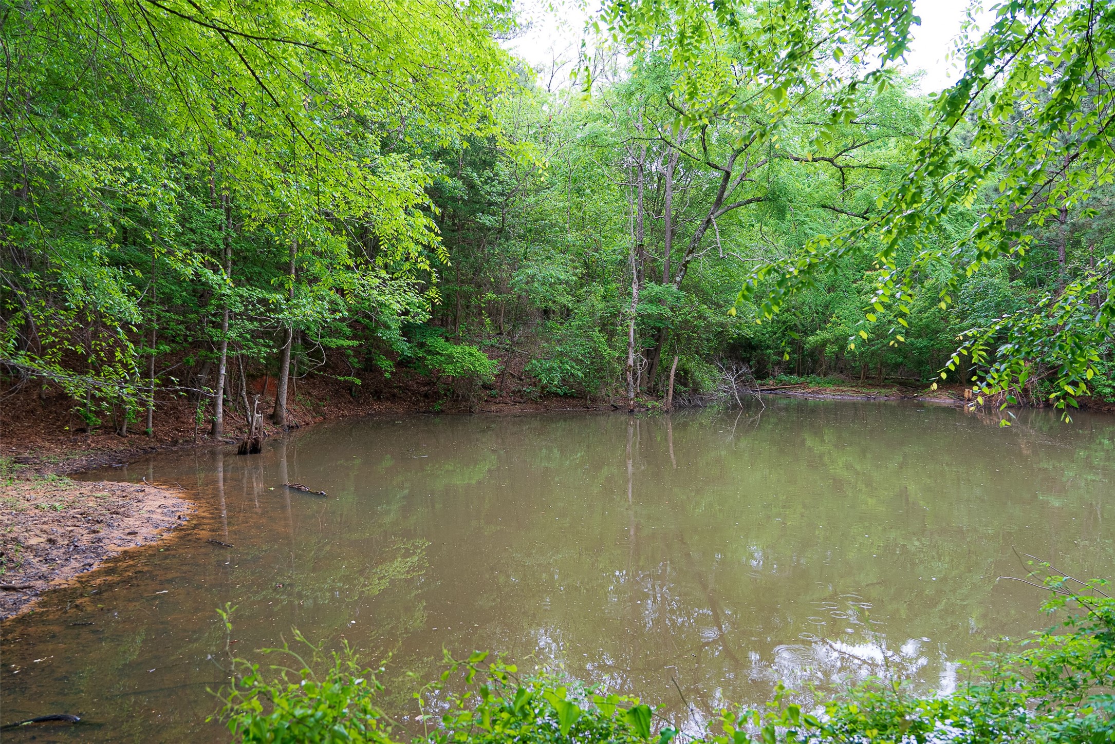 00 Tract 1 CR 1615, Jacksonville, TX, 75766