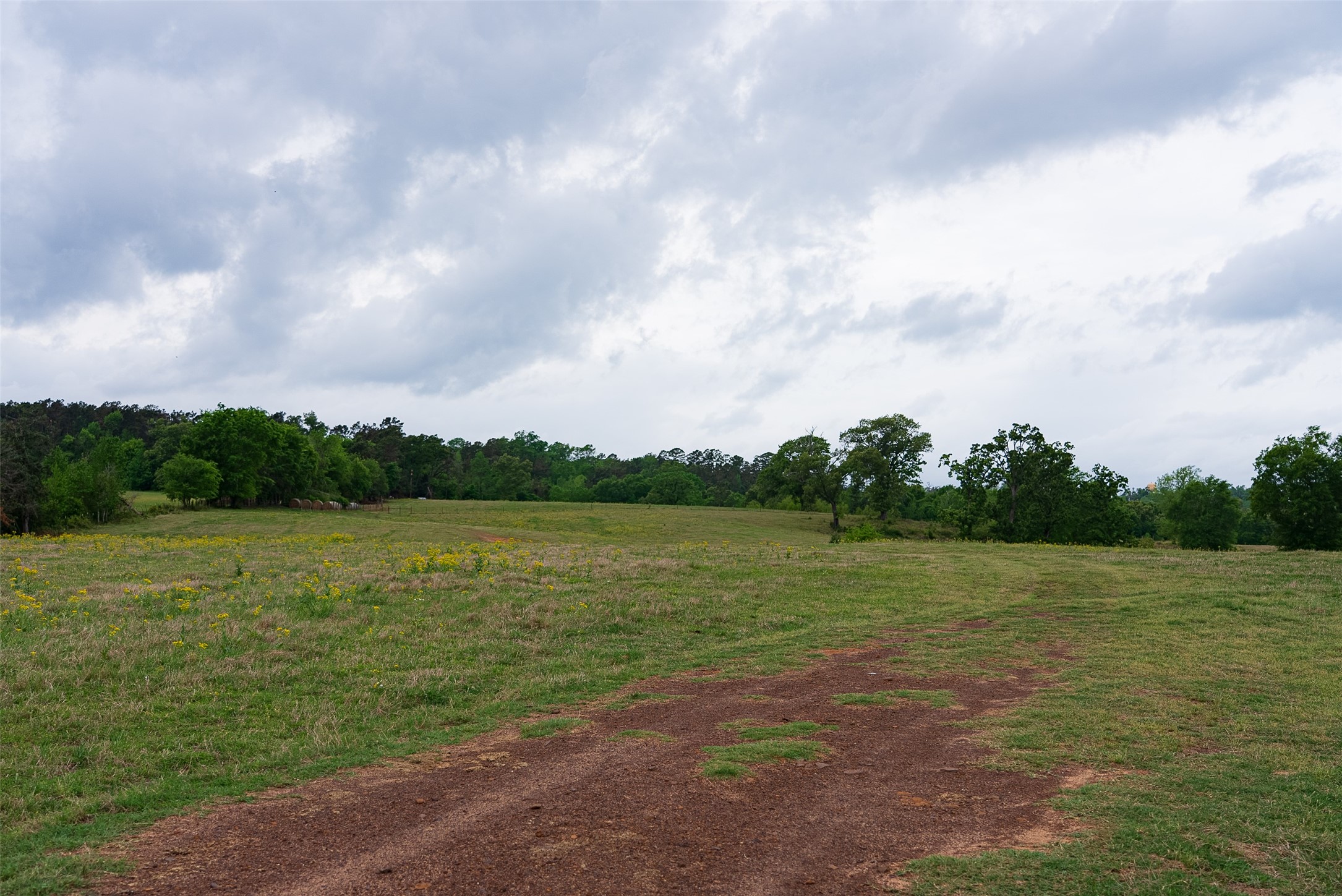 00 Tract 1 CR 1615, Jacksonville, TX, 75766