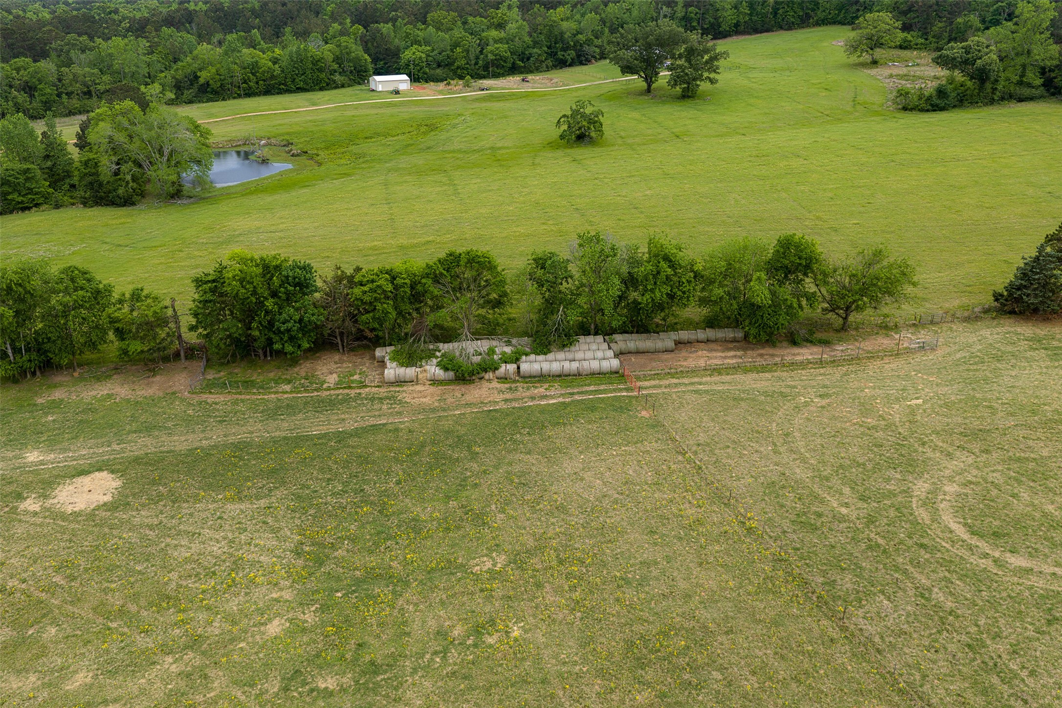 00 Tract 1 CR 1615, Jacksonville, TX, 75766