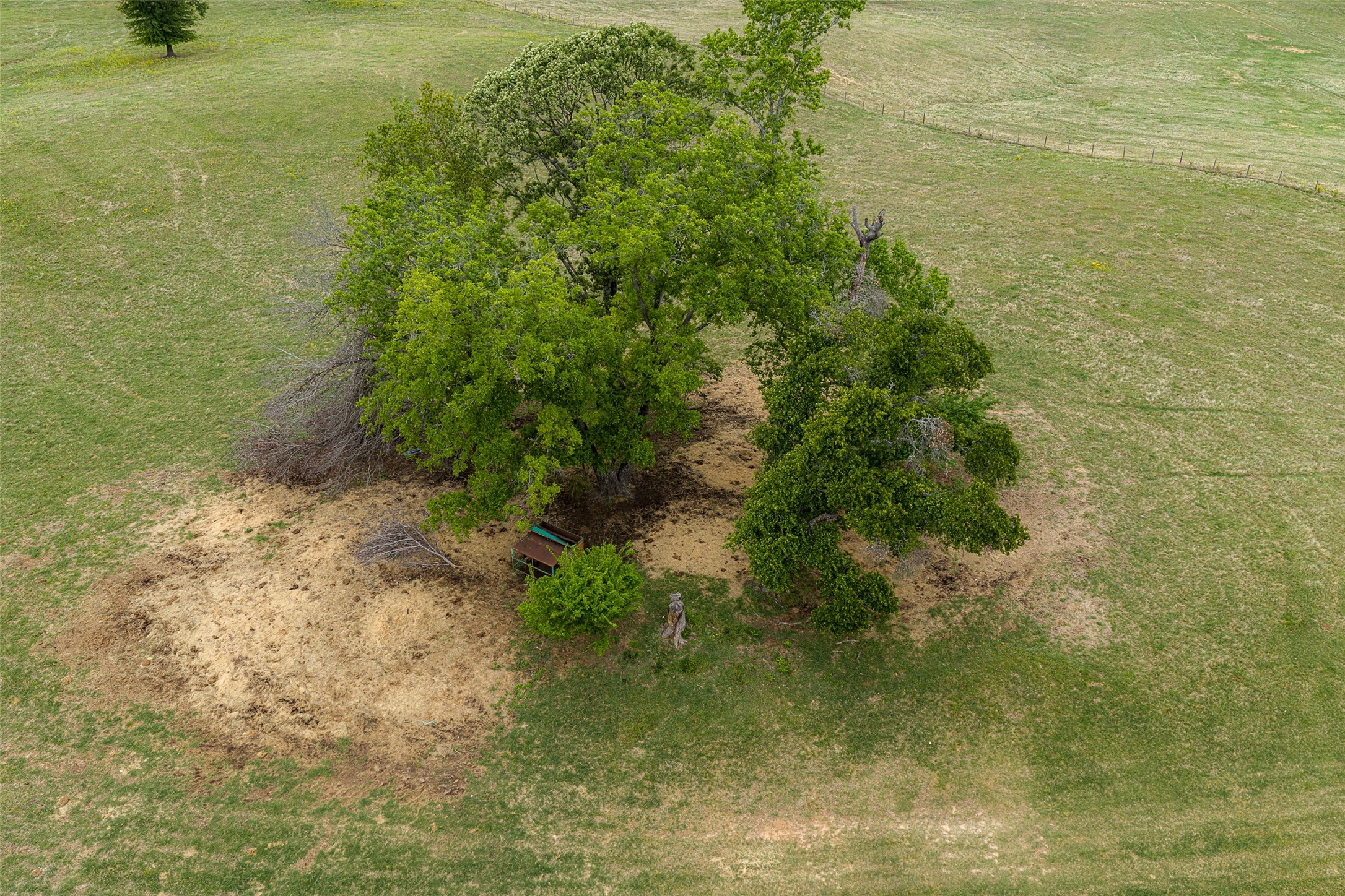 00 Tract 1 CR 1615, Jacksonville, TX, 75766