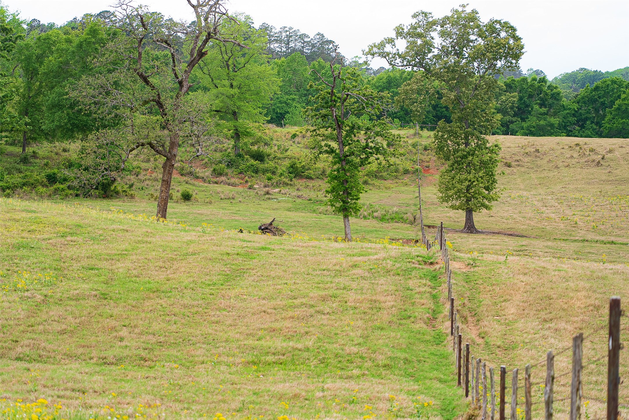 00 Tract 1 CR 1615, Jacksonville, TX, 75766