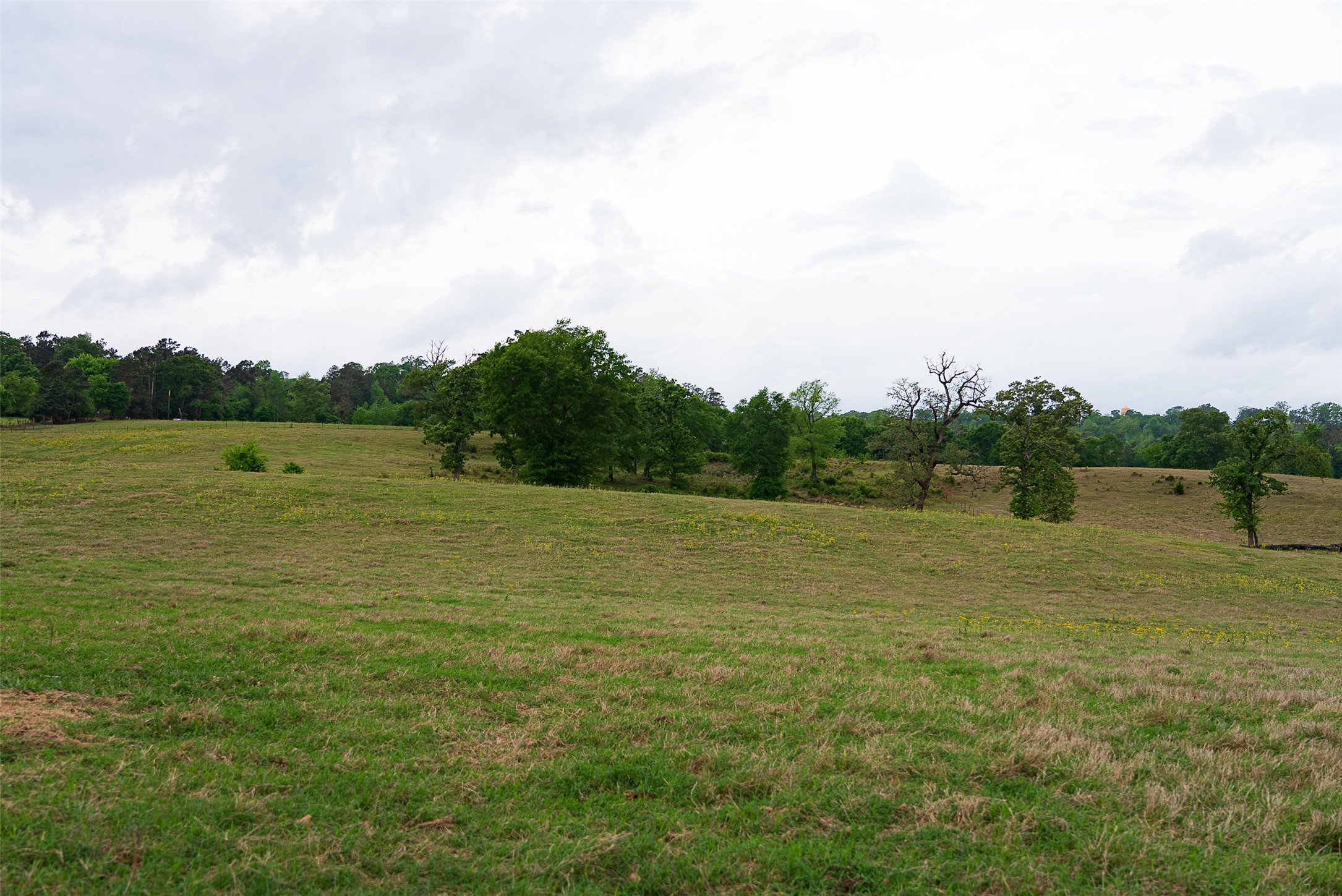 00 Tract 1 CR 1615, Jacksonville, TX, 75766