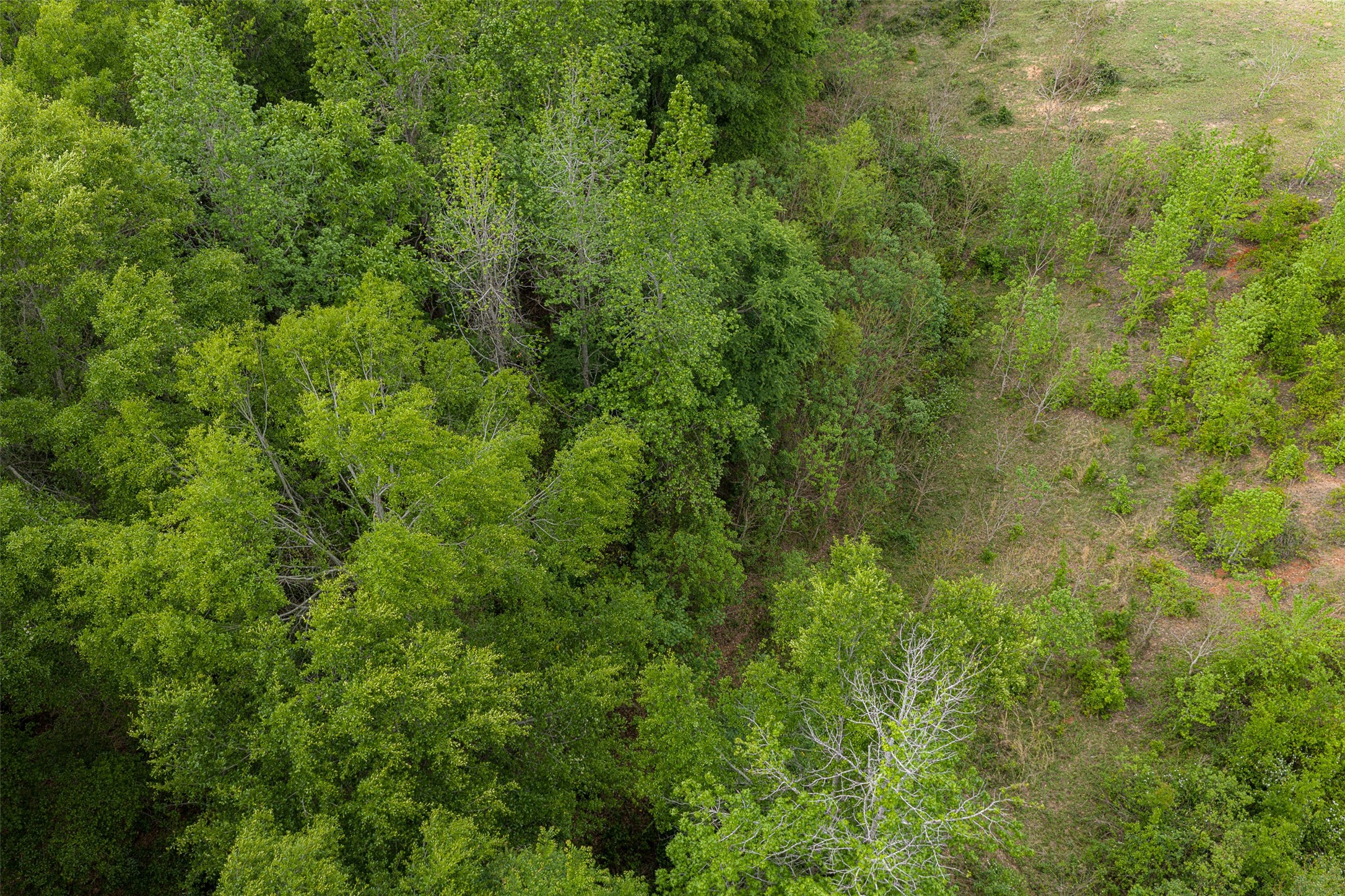 00 Tract 1 CR 1615, Jacksonville, TX, 75766