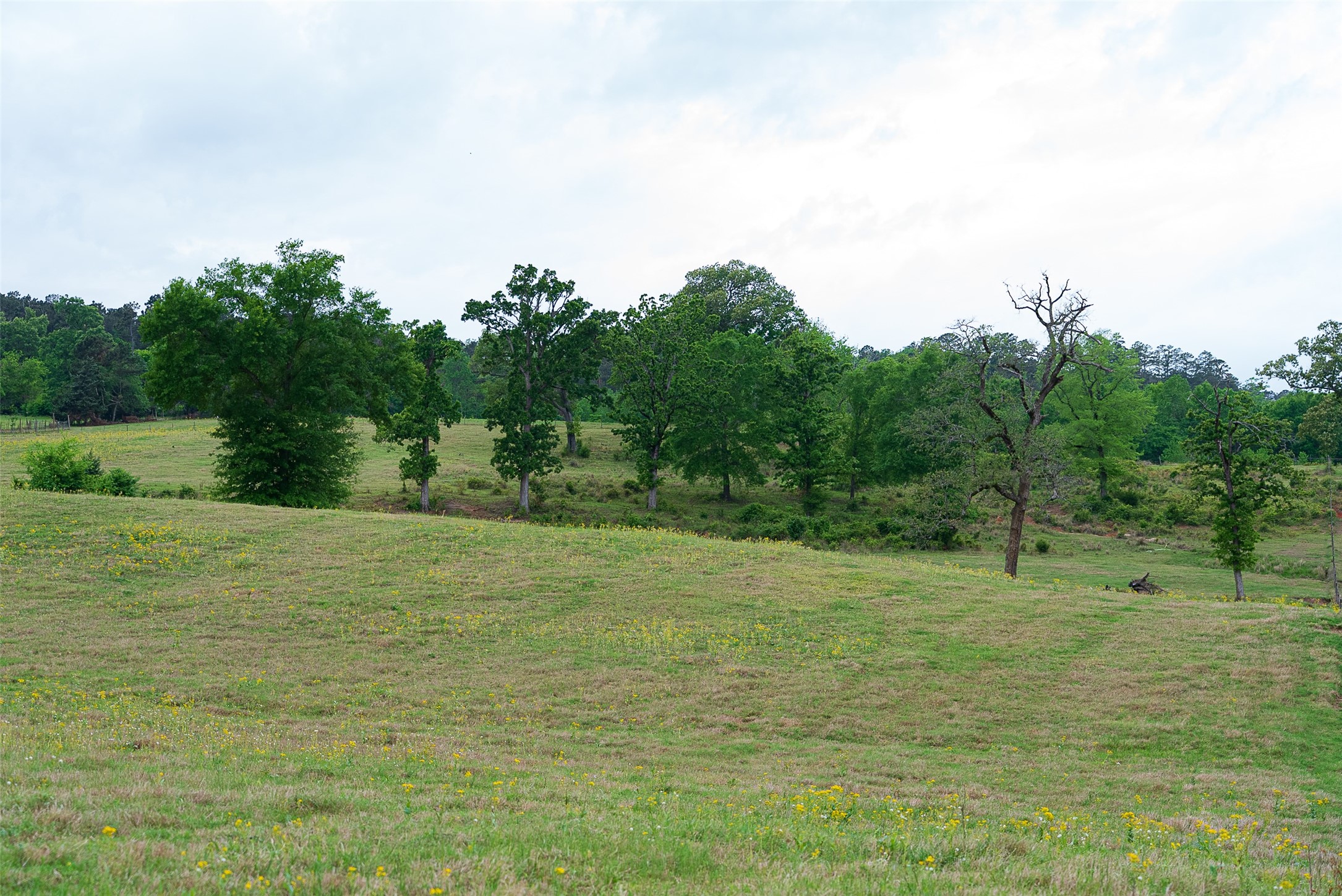 00 Tract 1 CR 1615, Jacksonville, TX, 75766