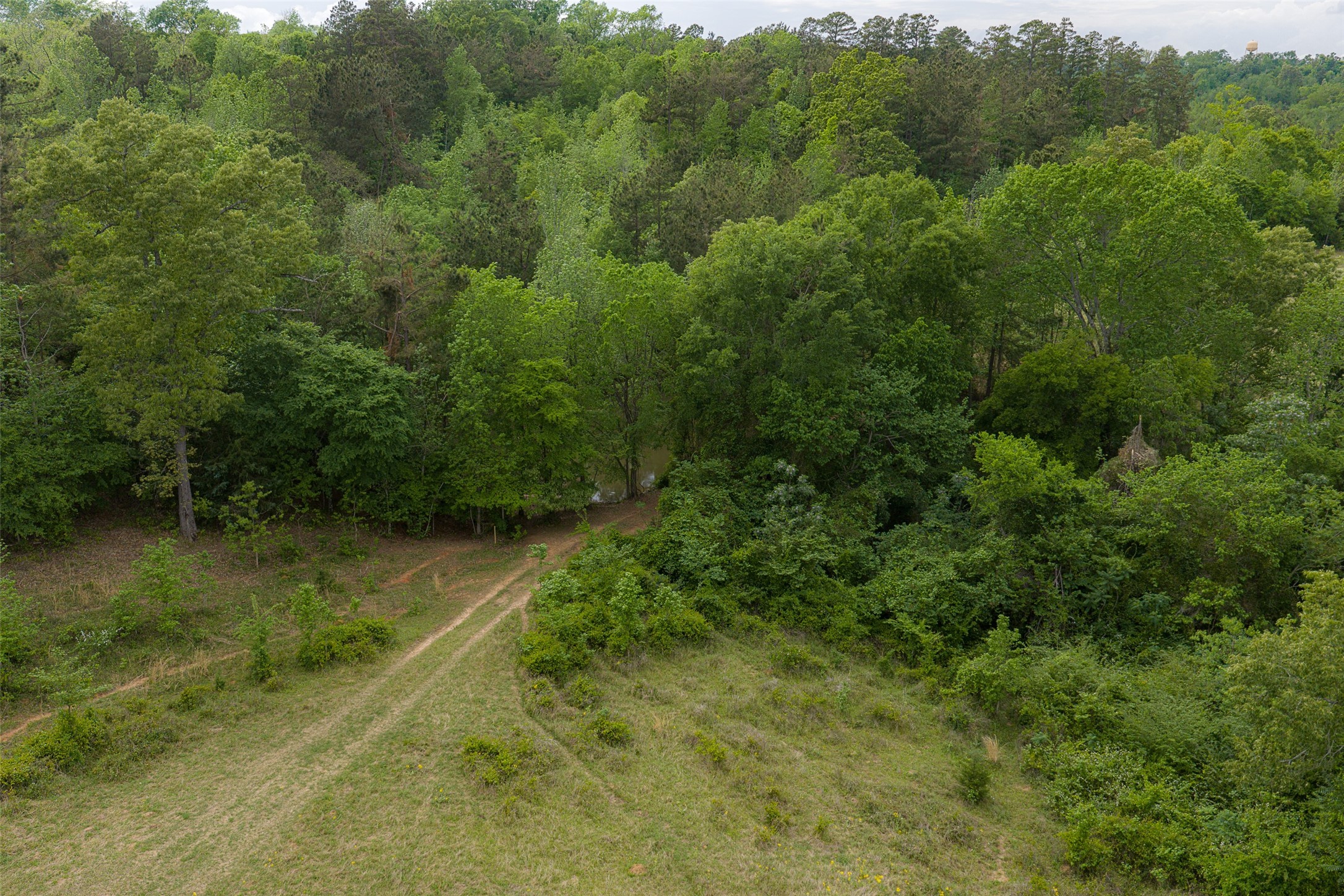 00 Tract 1 CR 1615, Jacksonville, TX, 75766