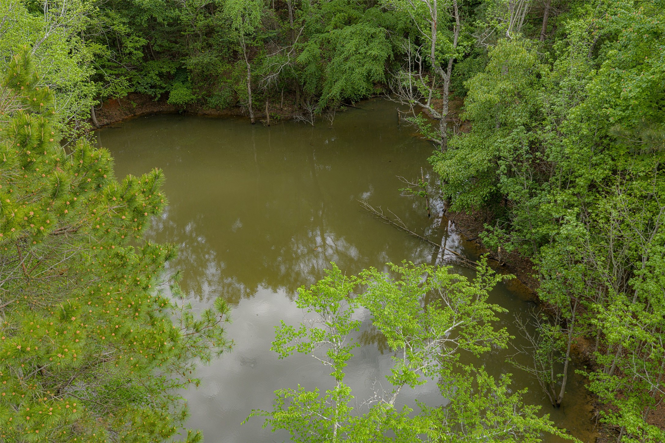 00 Tract 1 CR 1615, Jacksonville, TX, 75766