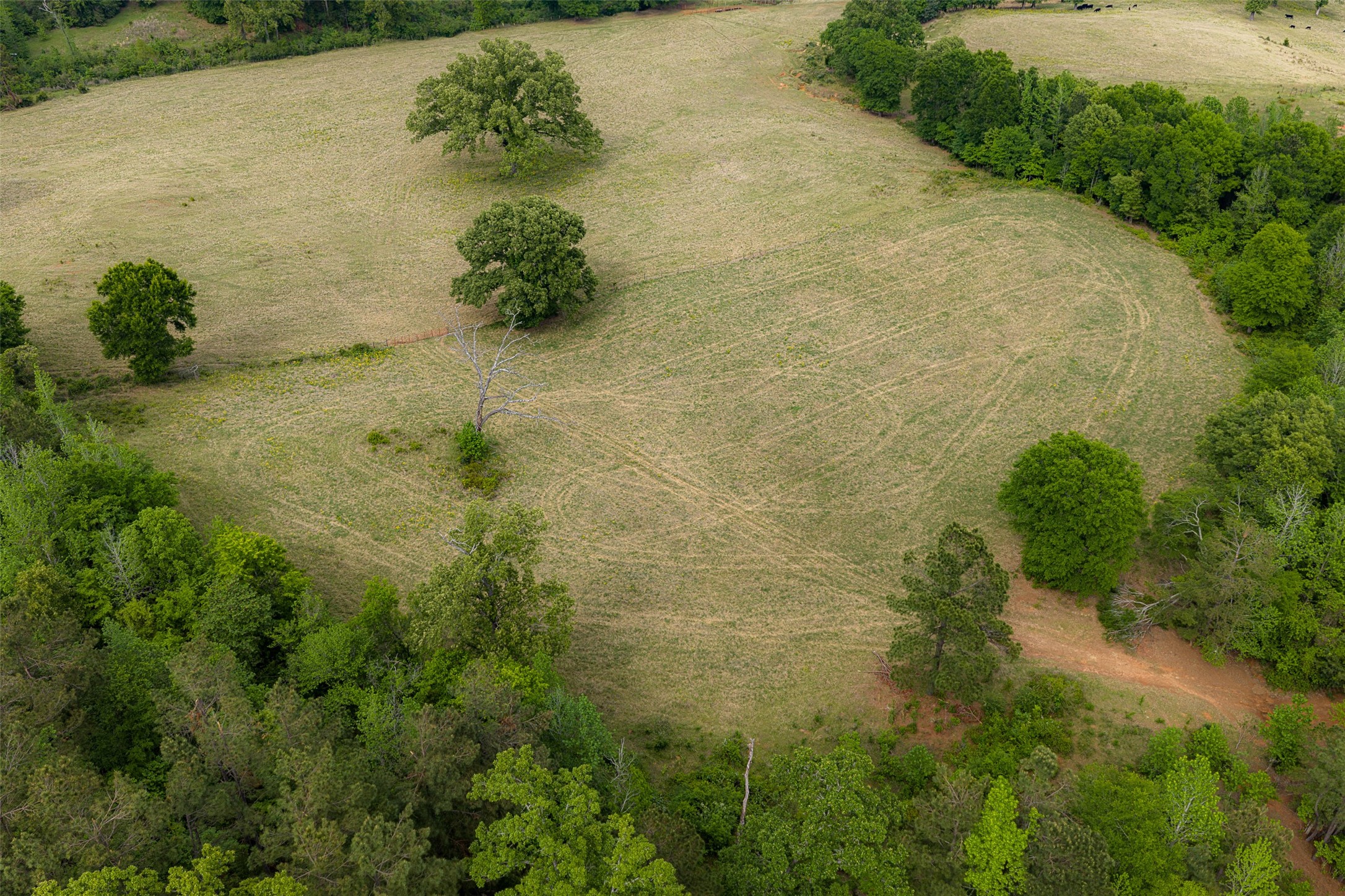 00 Tract 1 CR 1615, Jacksonville, TX, 75766