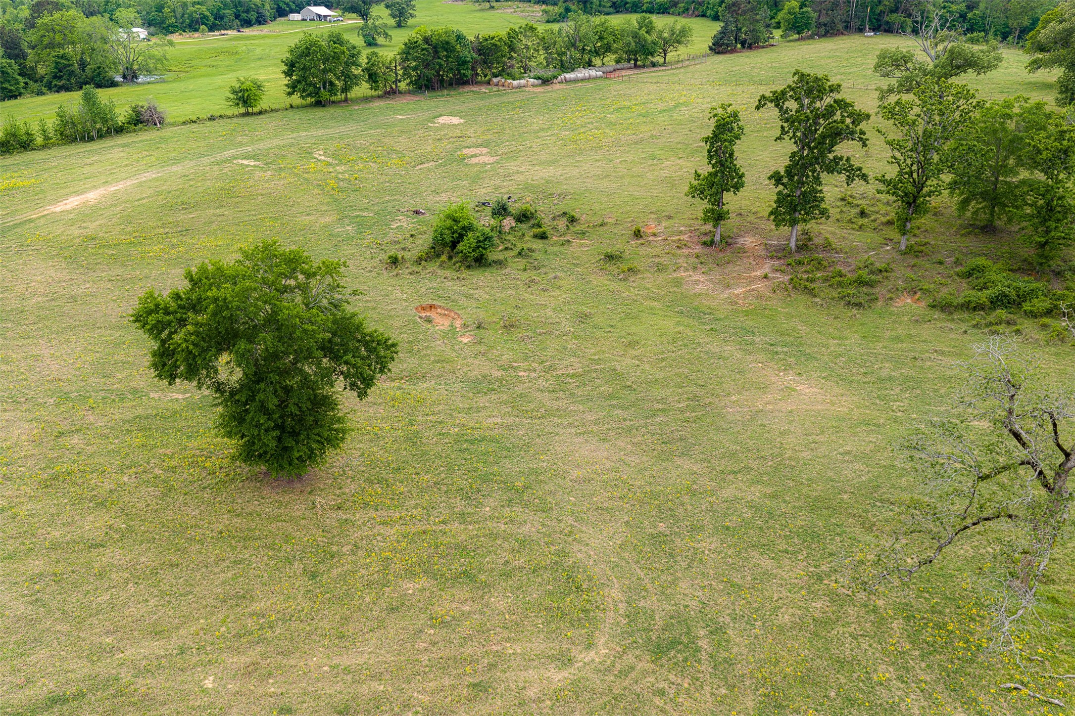 00 Tract 1 CR 1615, Jacksonville, TX, 75766