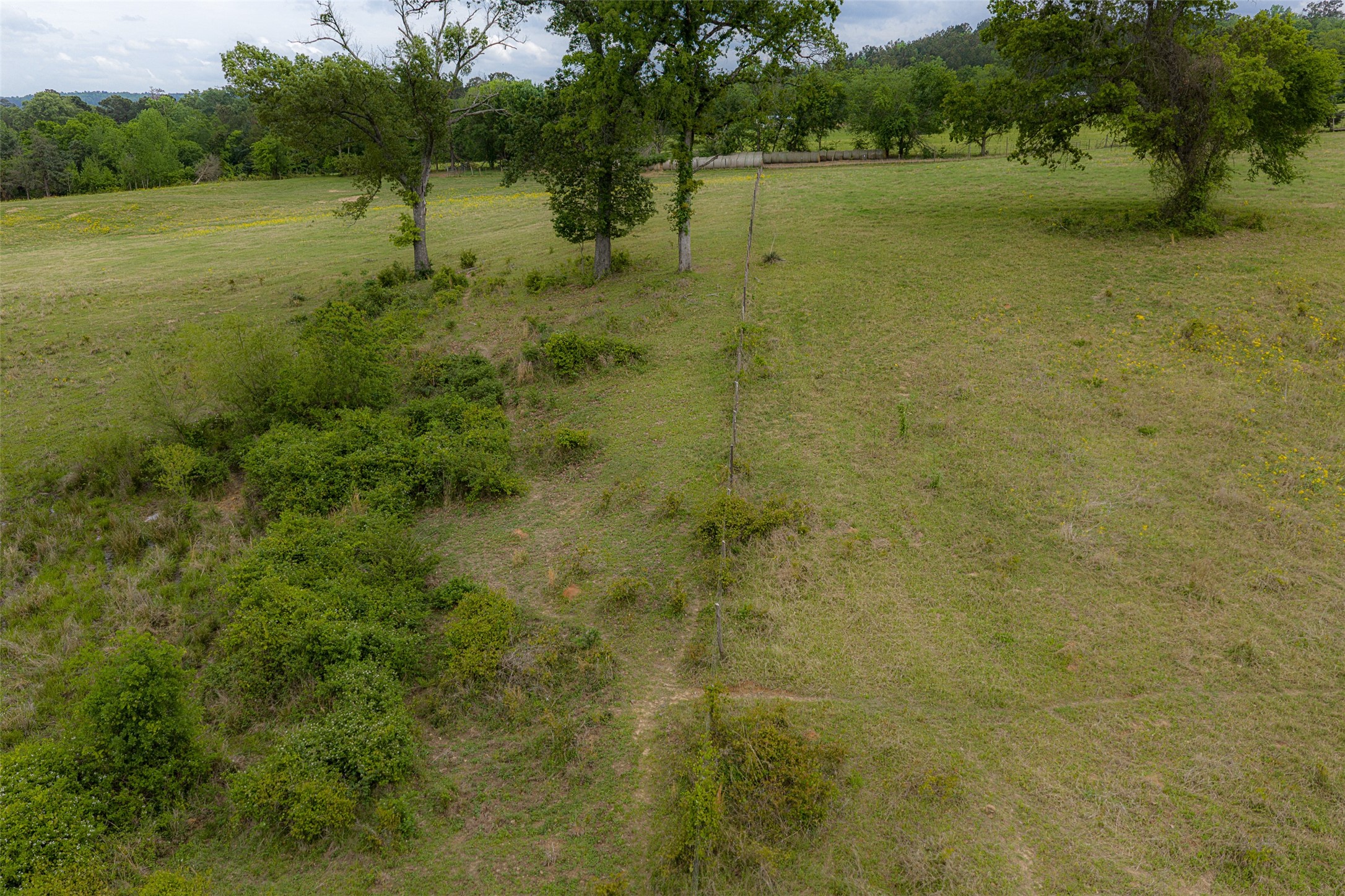 00 Tract 1 CR 1615, Jacksonville, TX, 75766