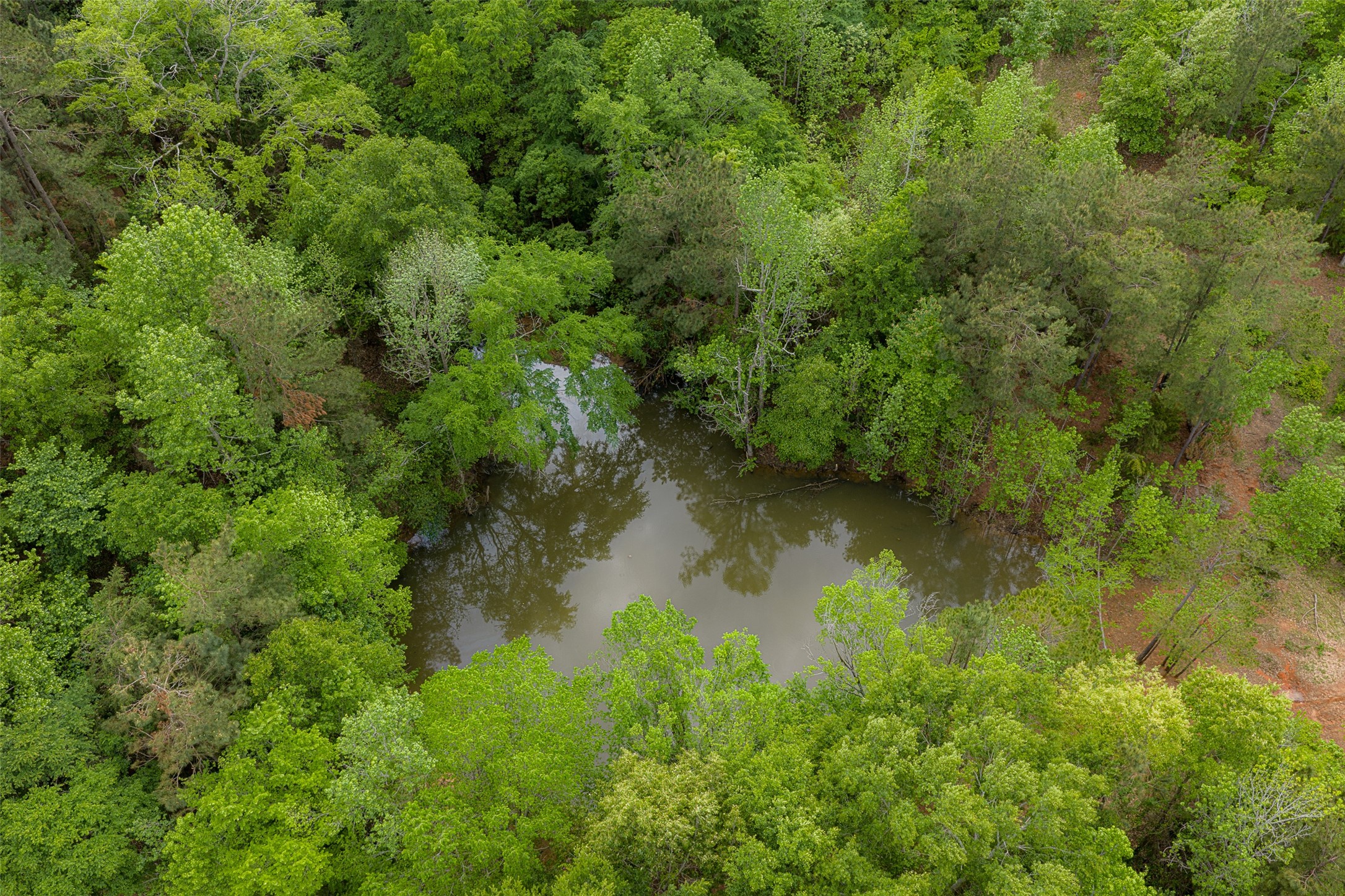 00 Tract 1 CR 1615, Jacksonville, TX, 75766