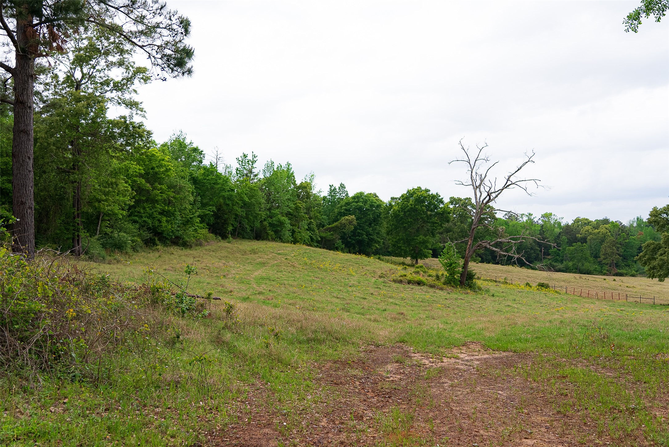 00 Tract 1 CR 1615, Jacksonville, TX, 75766