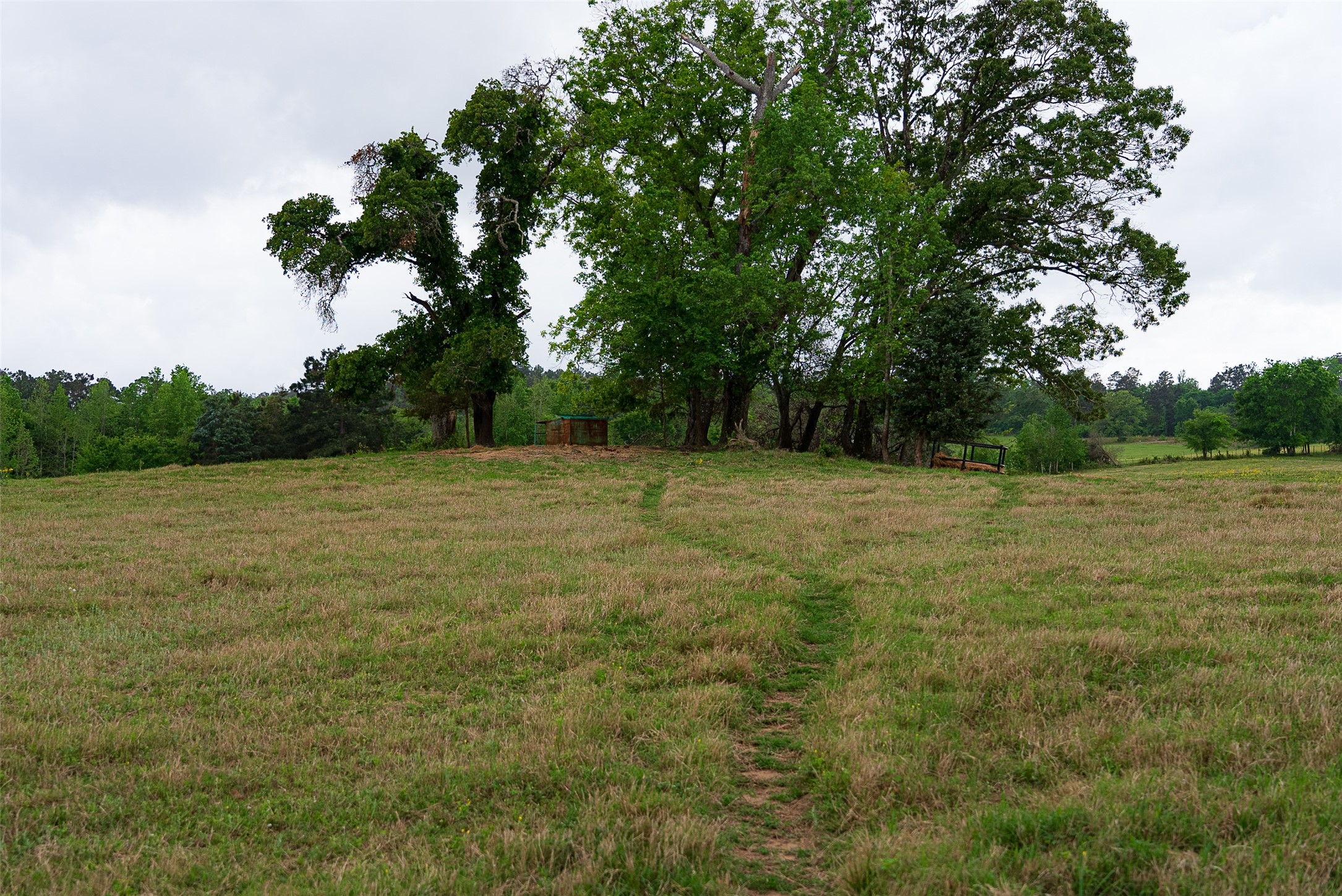 00 Tract 1 CR 1615, Jacksonville, TX, 75766
