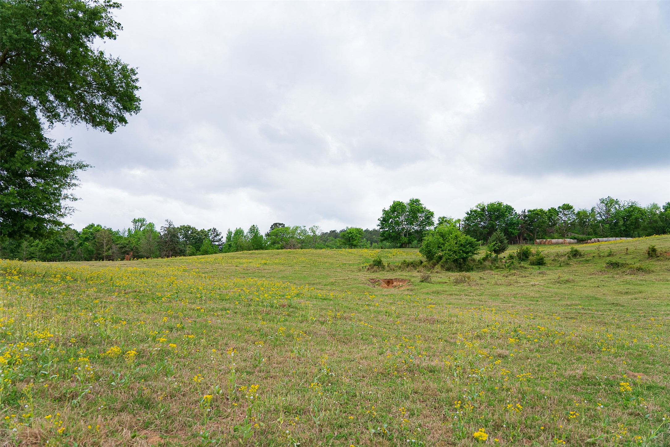 00 Tract 1 CR 1615, Jacksonville, TX, 75766