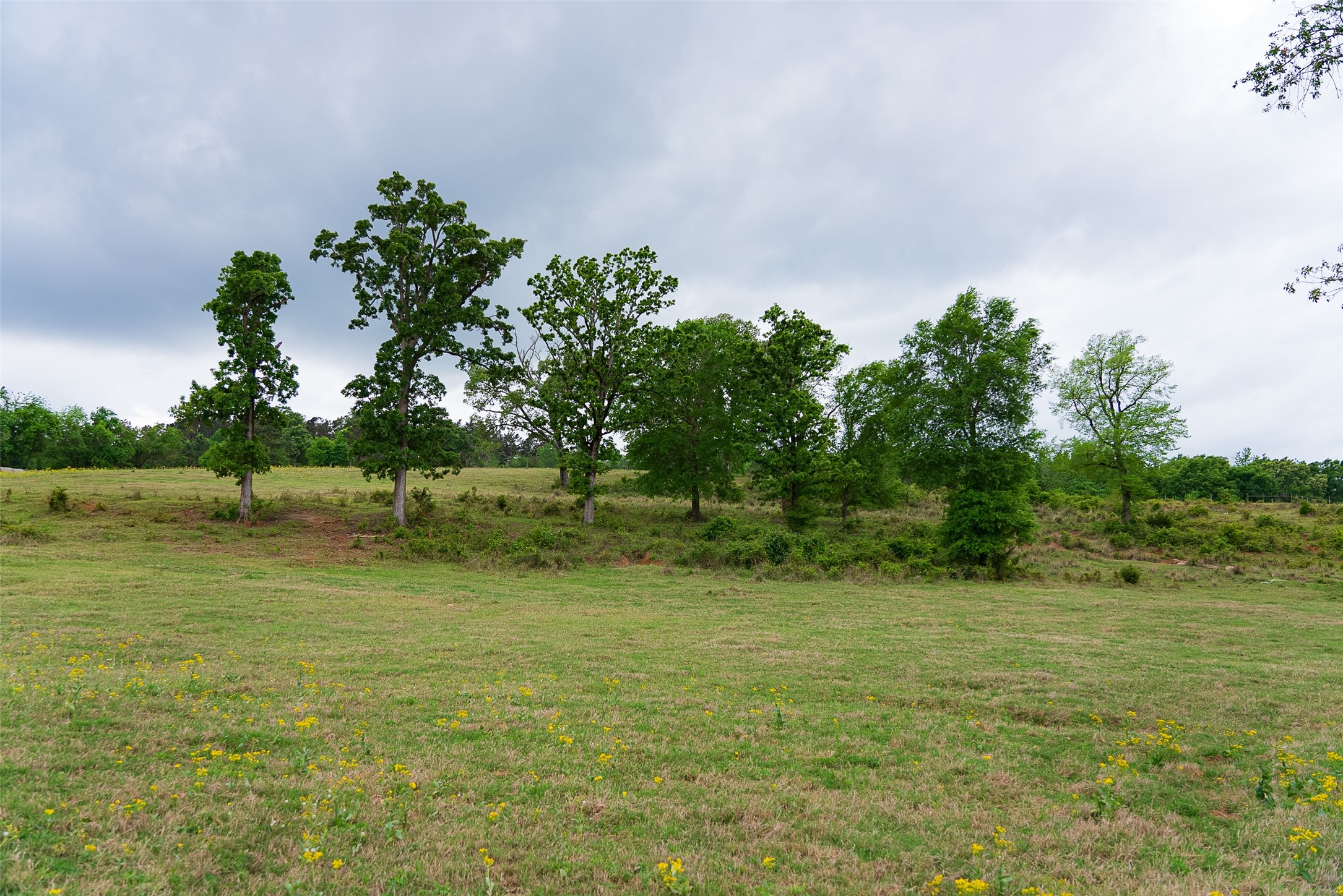 00 Tract 1 CR 1615, Jacksonville, TX, 75766