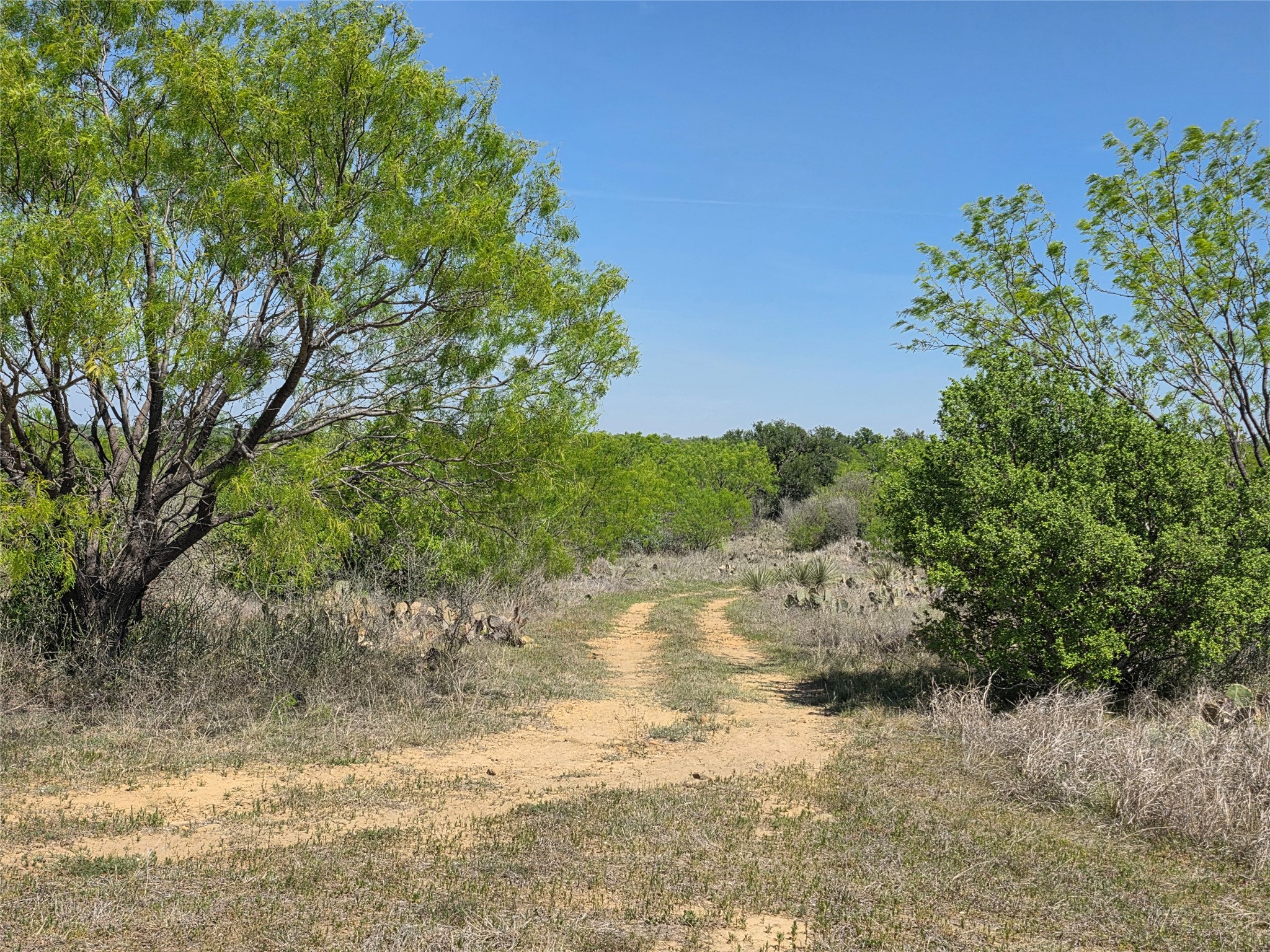 3925 County Road 216, San Saba, TX, 76877