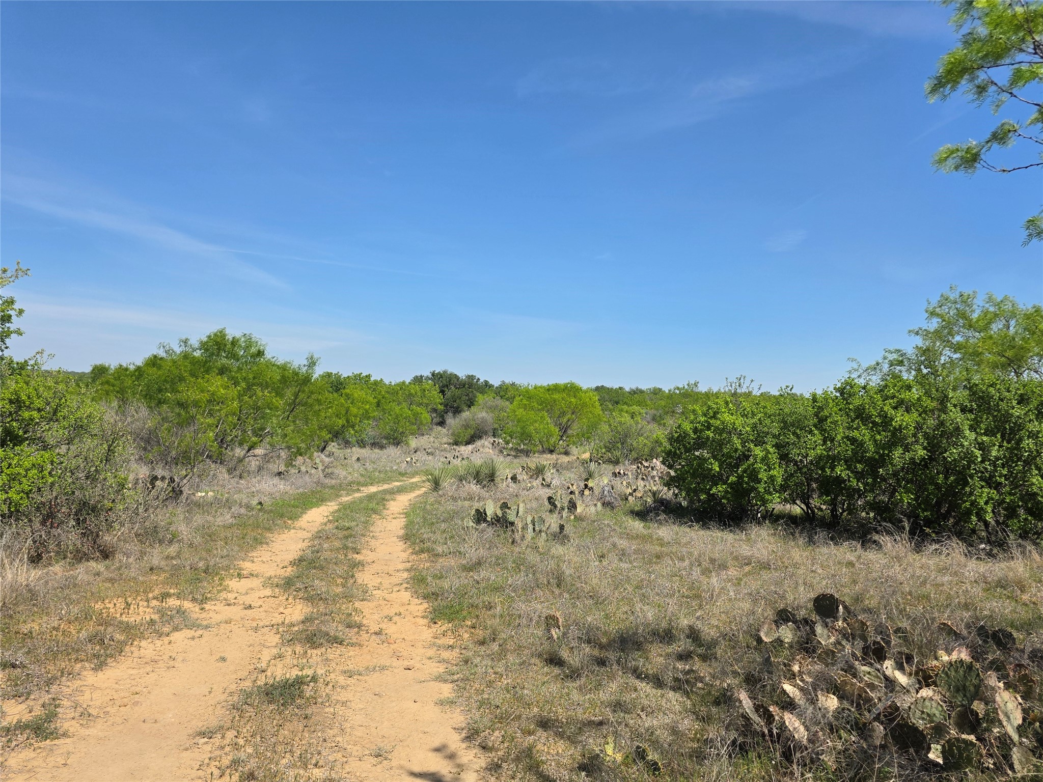 3925 County Road 216, San Saba, TX, 76877