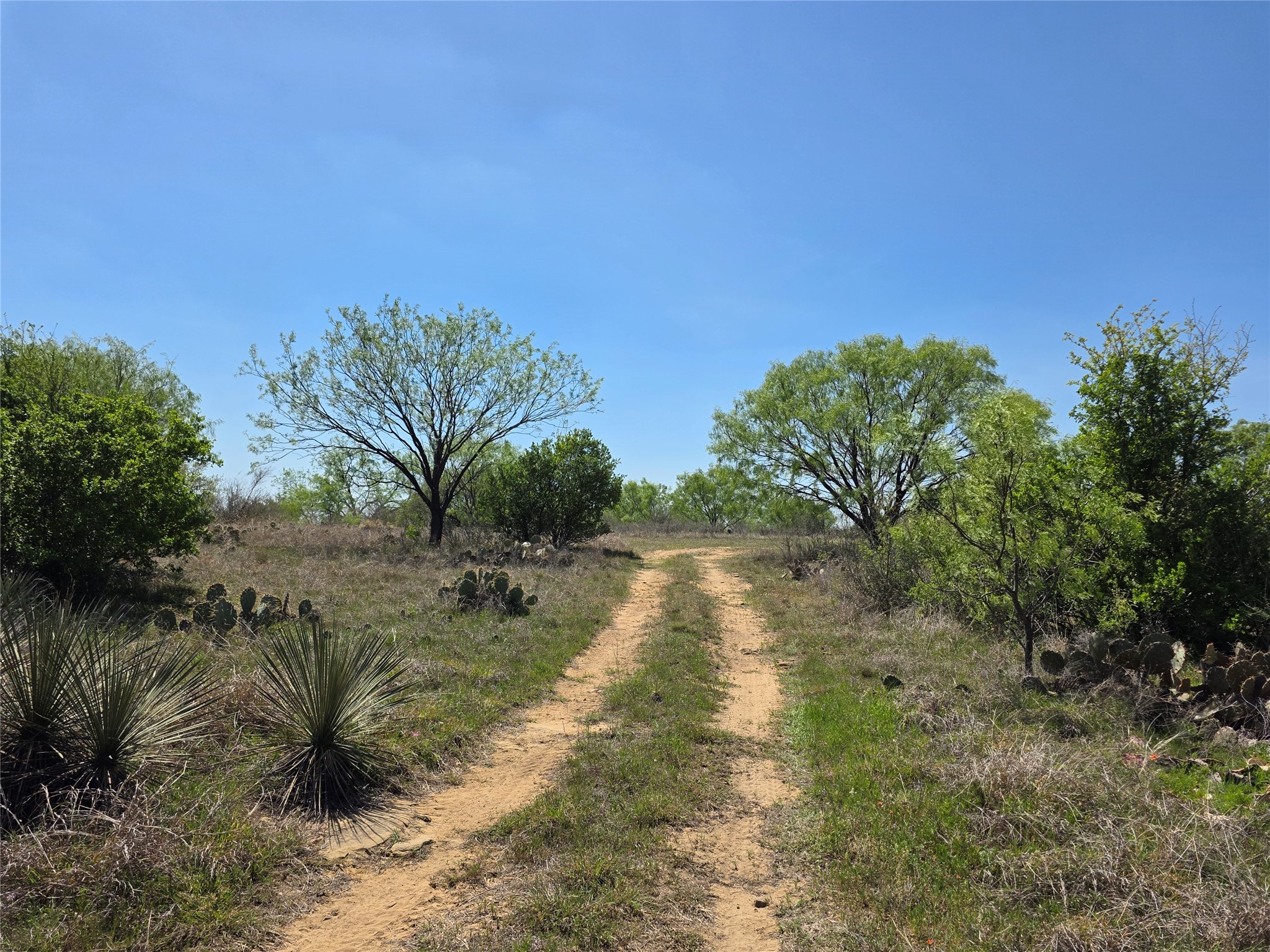 3925 County Road 216, San Saba, TX, 76877