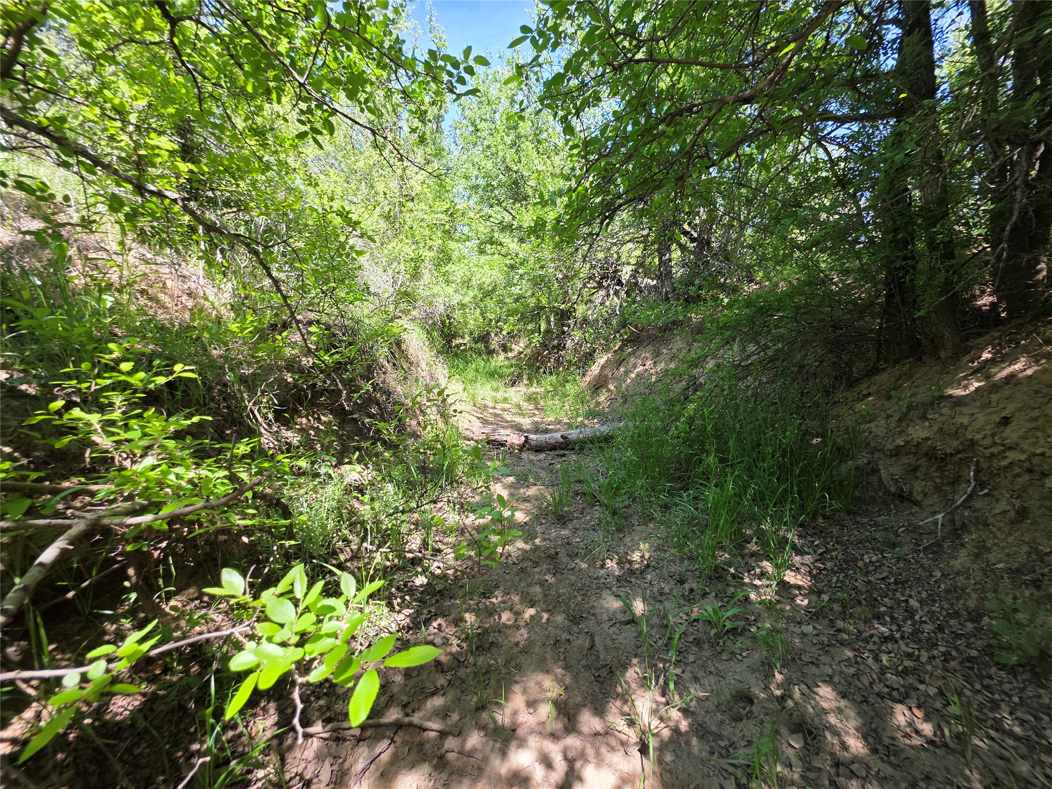 3925 County Road 216, San Saba, TX, 76877
