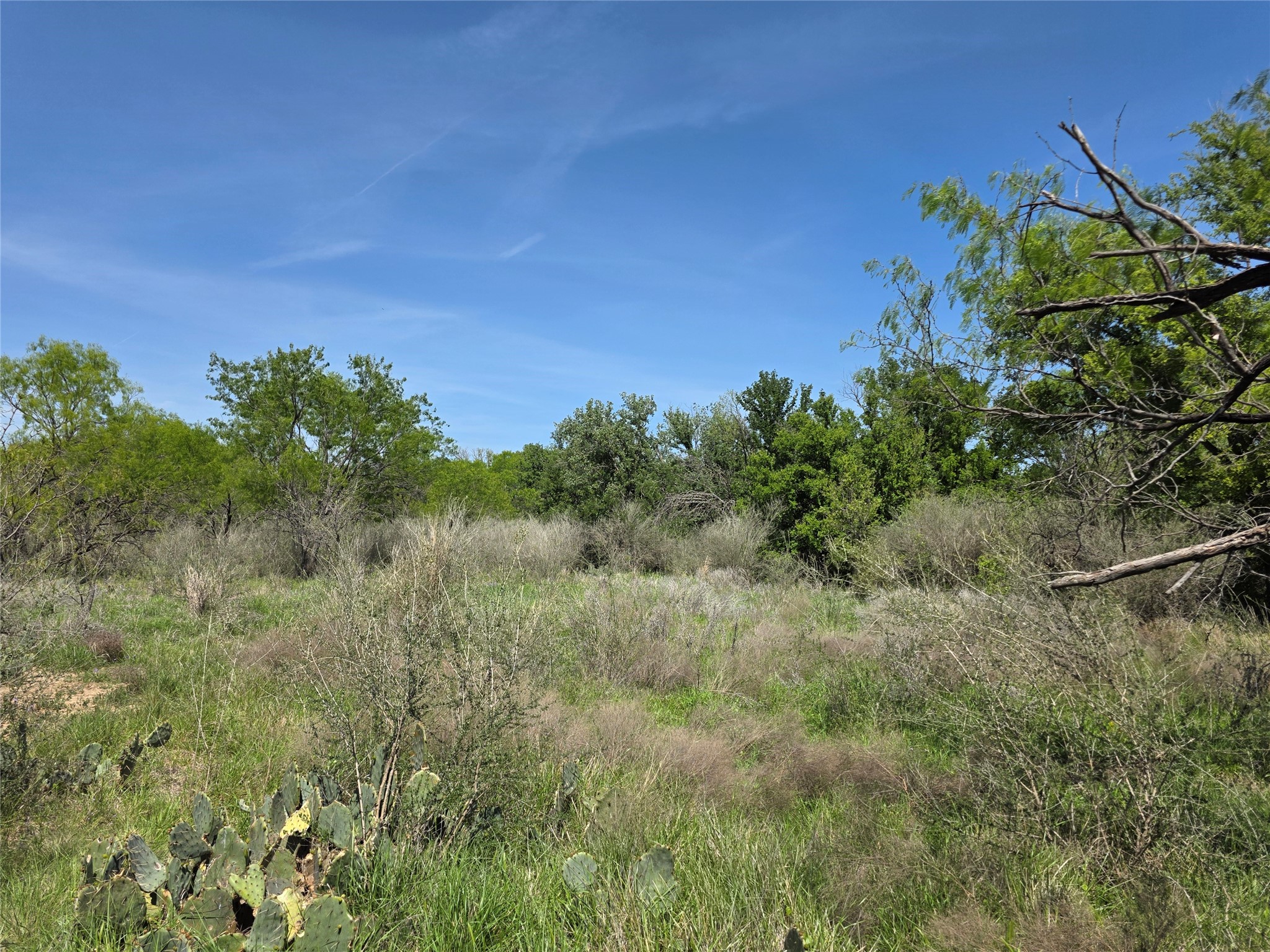 3925 County Road 216, San Saba, TX, 76877