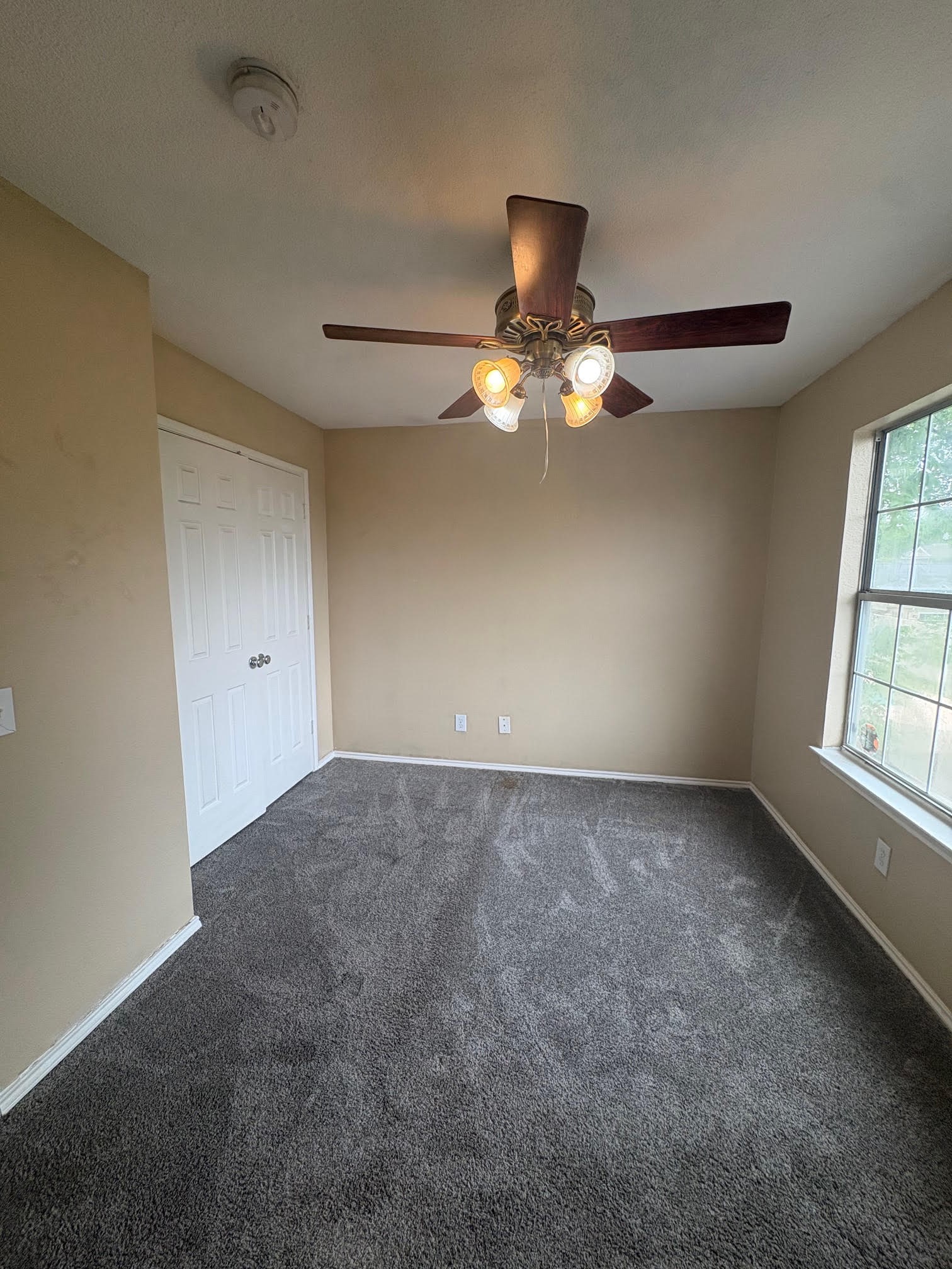 320 W Williams Street, Cedar Hill, TX, 75104
