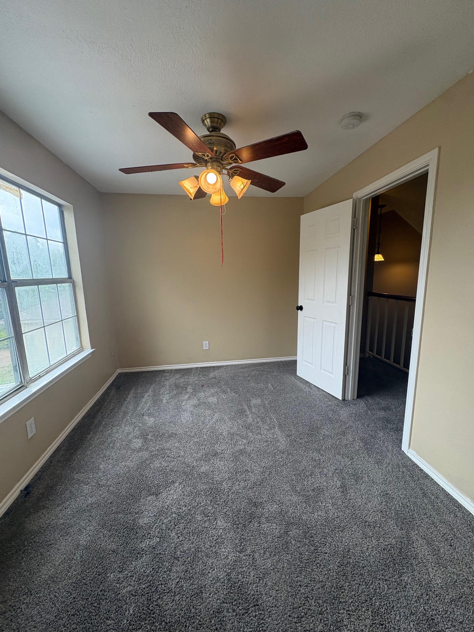 320 W Williams Street, Cedar Hill, TX, 75104