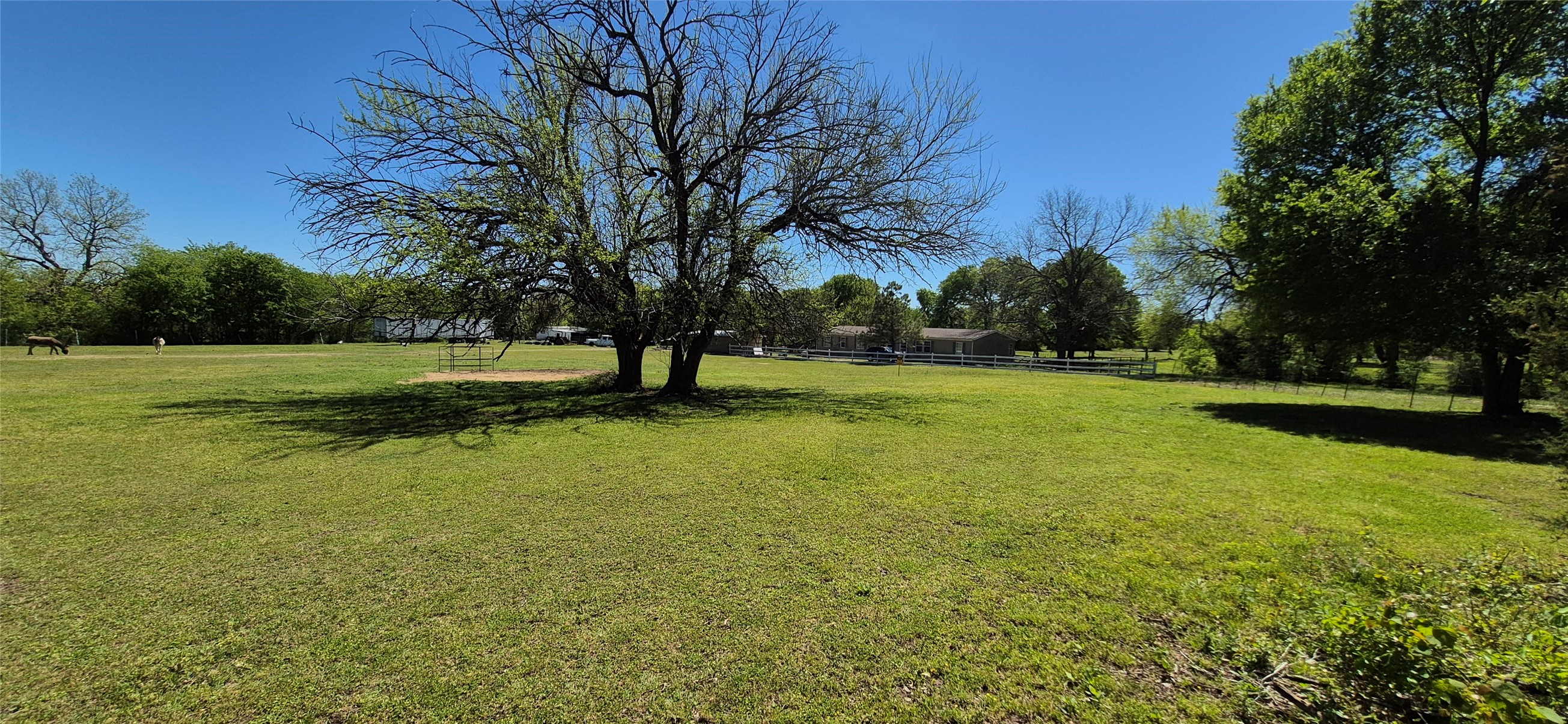 Property photo 03 of 1199 County Road 1245, Savoy, TX 75479 | MLS #21237153