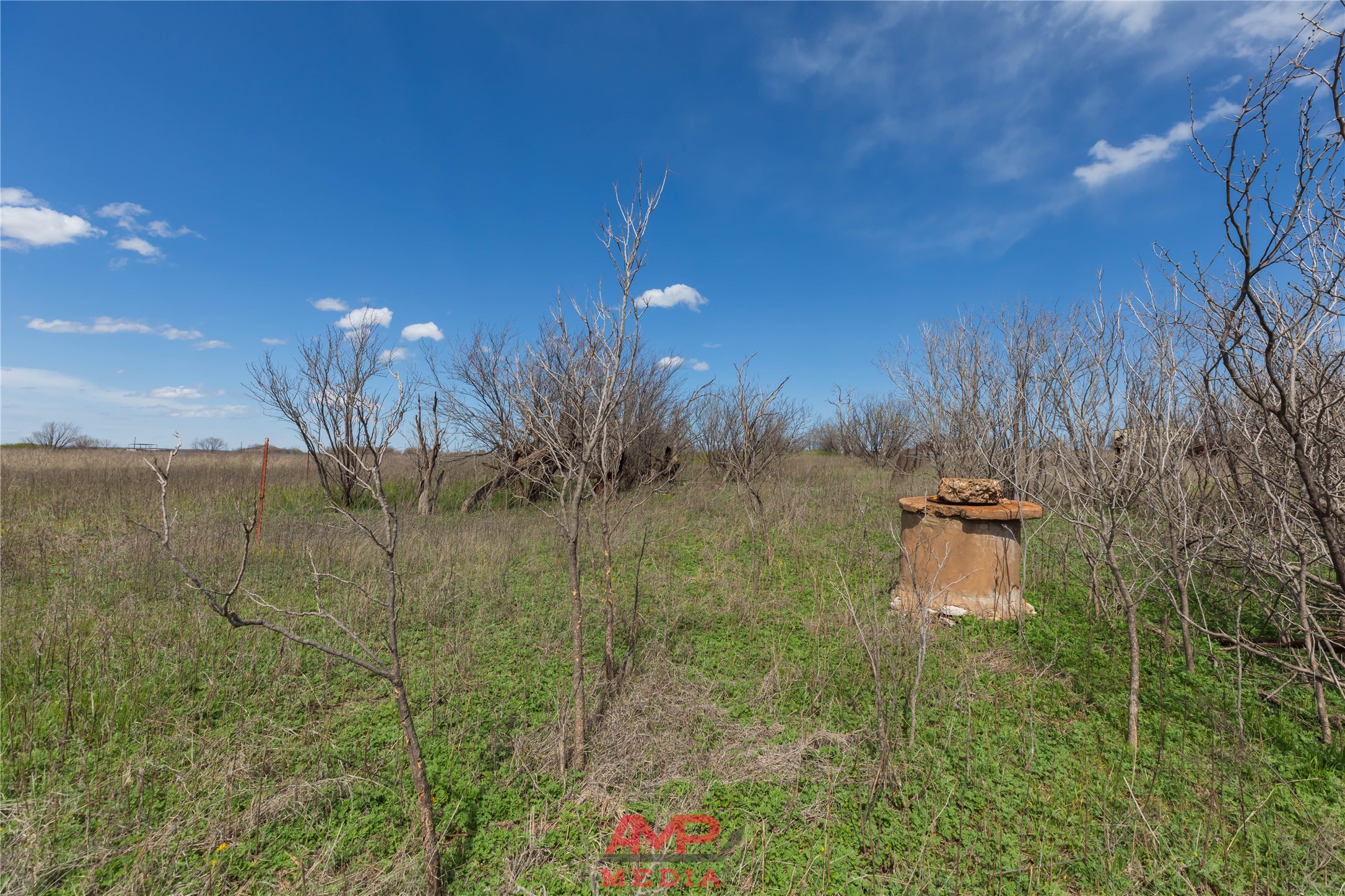 tract 3 CR 463, Anson, TX, 79501