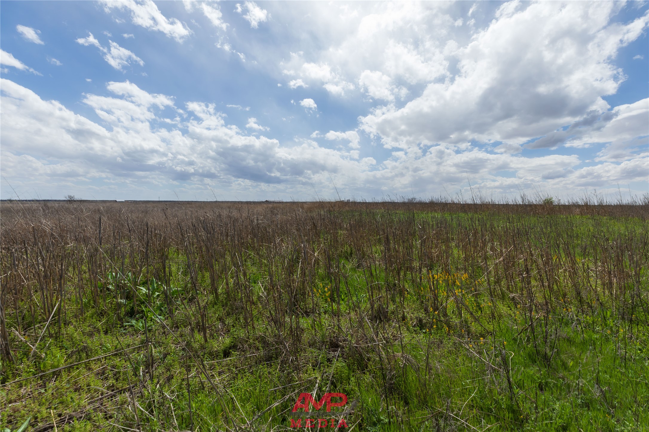 tract 3 CR 463, Anson, TX, 79501