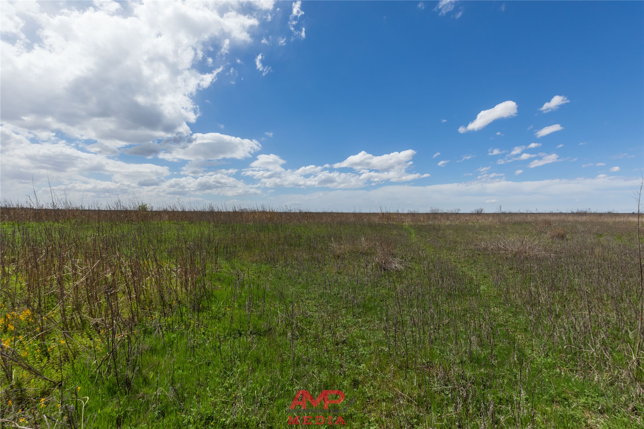 tract 3 CR 463, Anson, TX, 79501