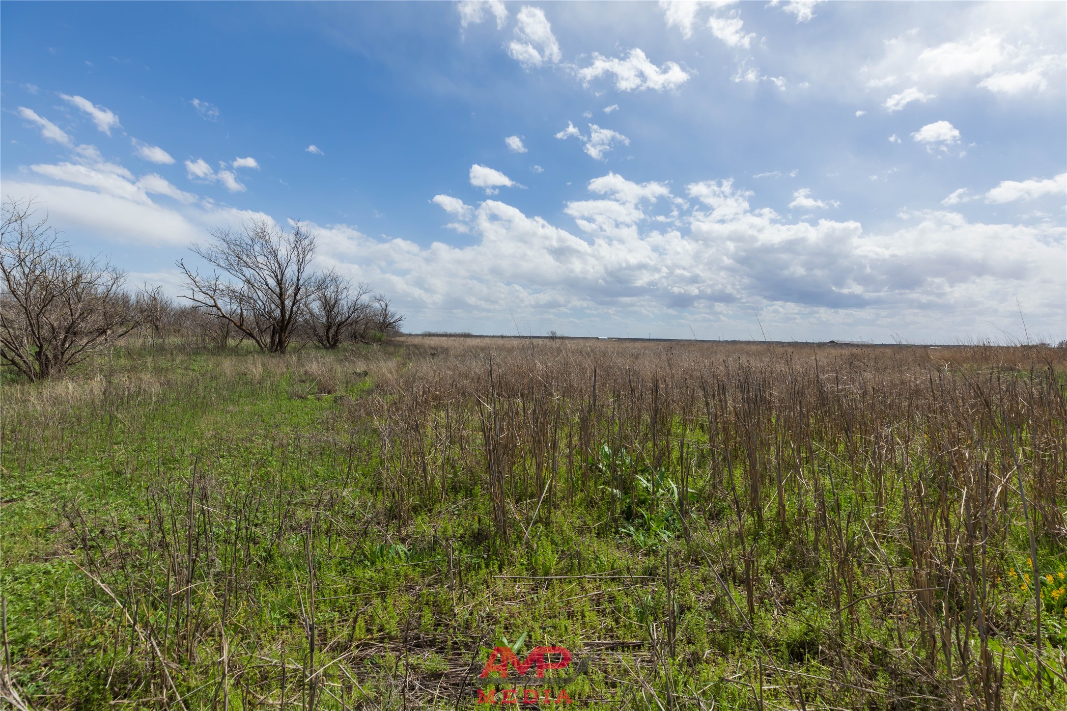 tract 3 CR 463, Anson, TX, 79501