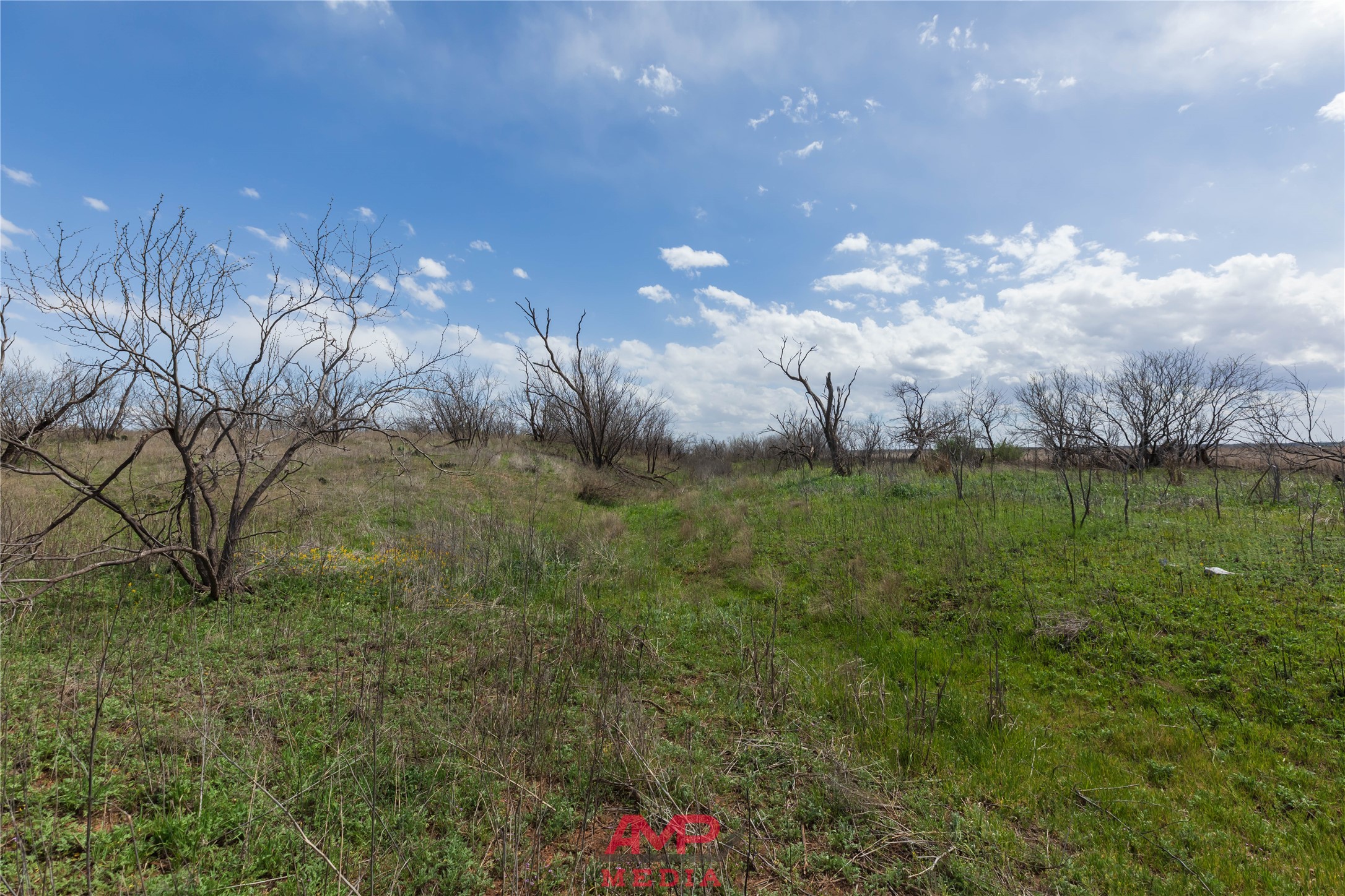 tract 3 CR 463, Anson, TX, 79501