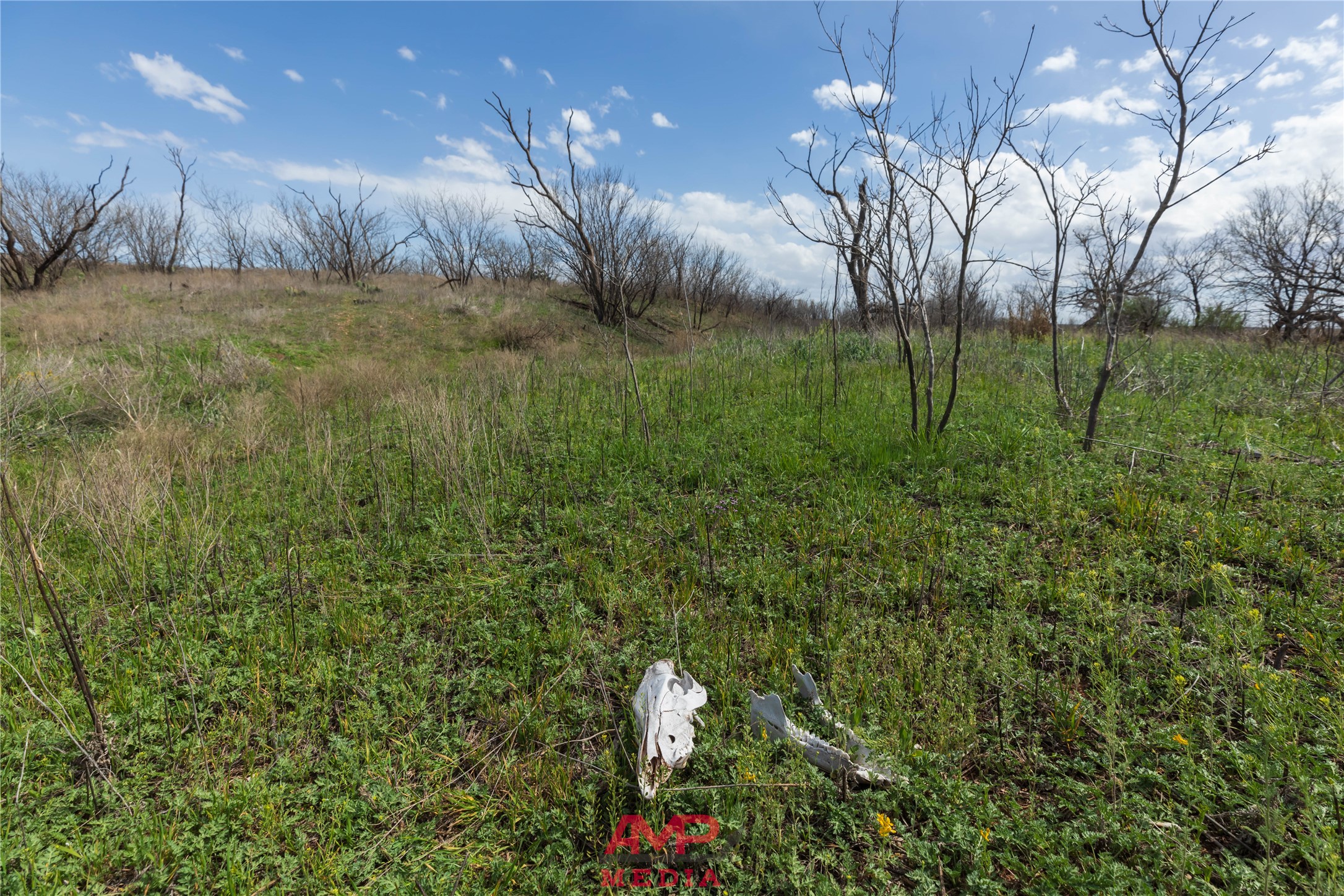 tract 3 CR 463, Anson, TX, 79501