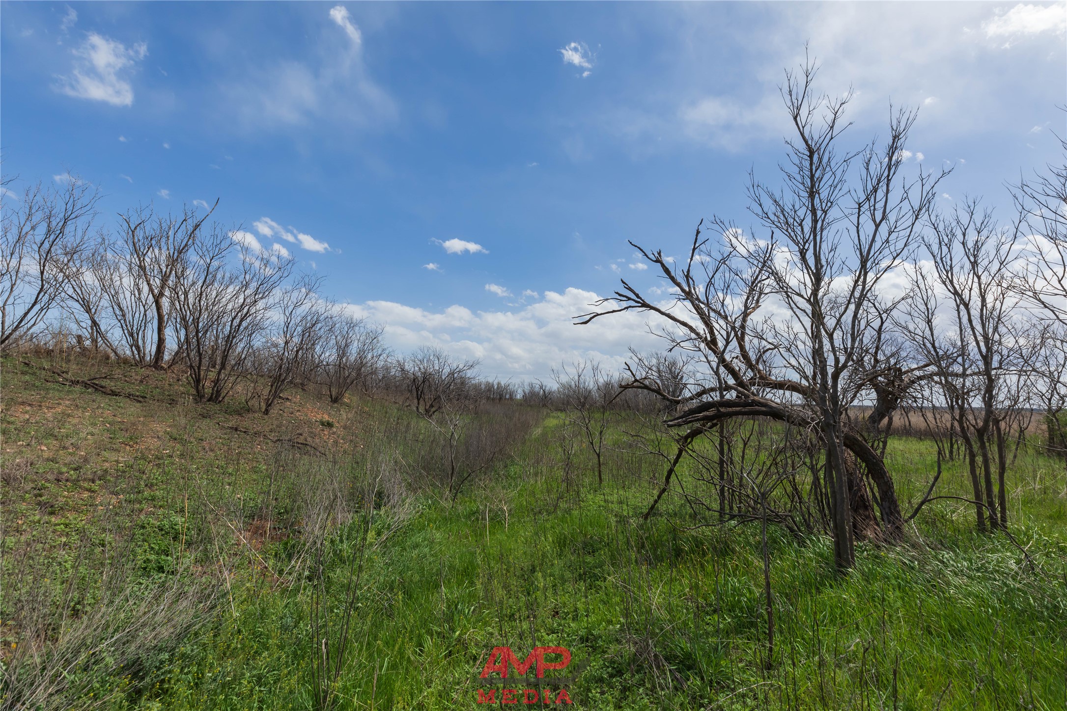 tract 3 CR 463, Anson, TX, 79501
