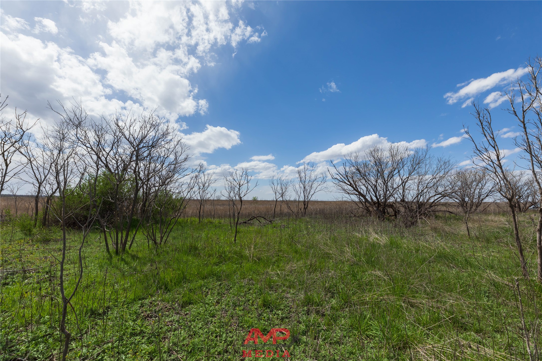 tract 3 CR 463, Anson, TX, 79501