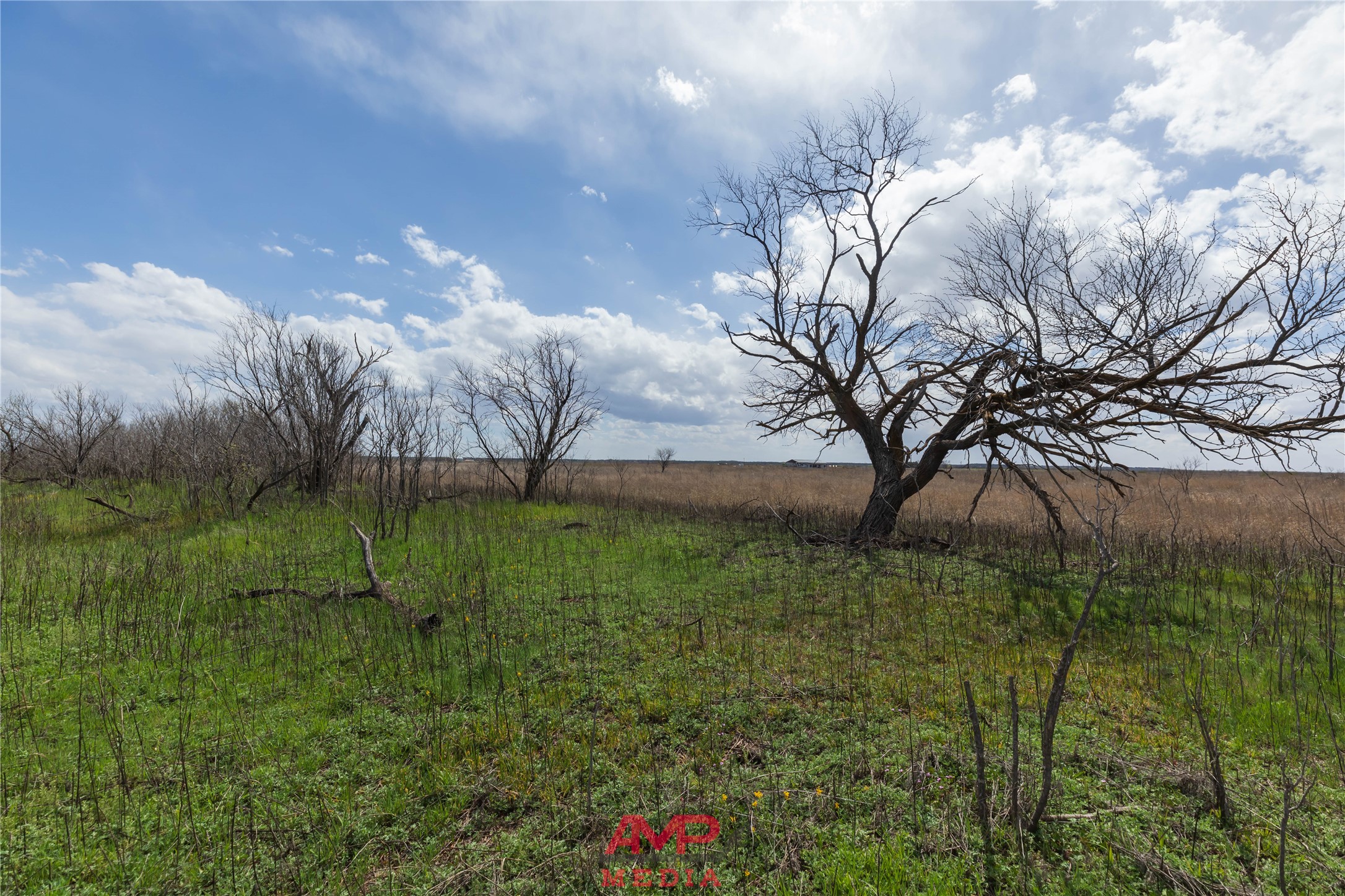 tract 3 CR 463, Anson, TX, 79501