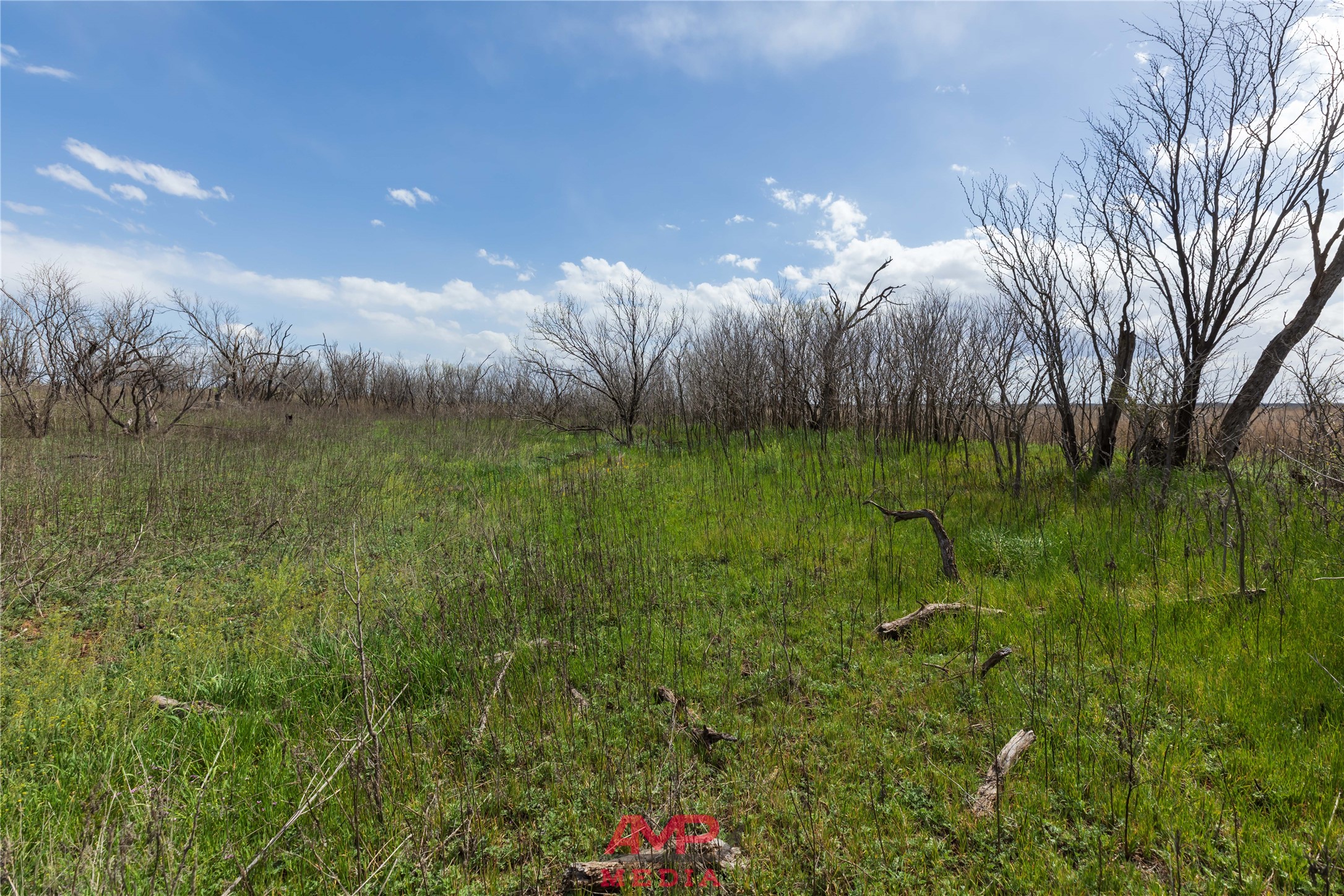 tract 3 CR 463, Anson, TX, 79501