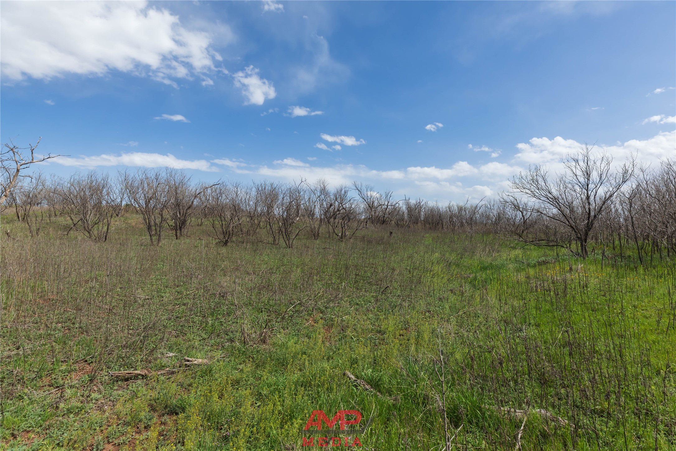 tract 3 CR 463, Anson, TX, 79501