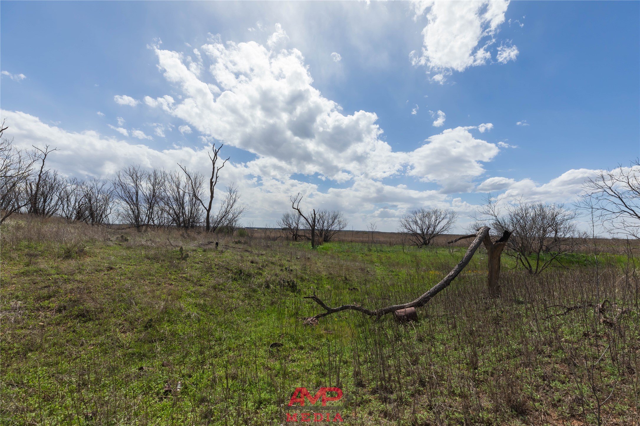tract 3 CR 463, Anson, TX, 79501