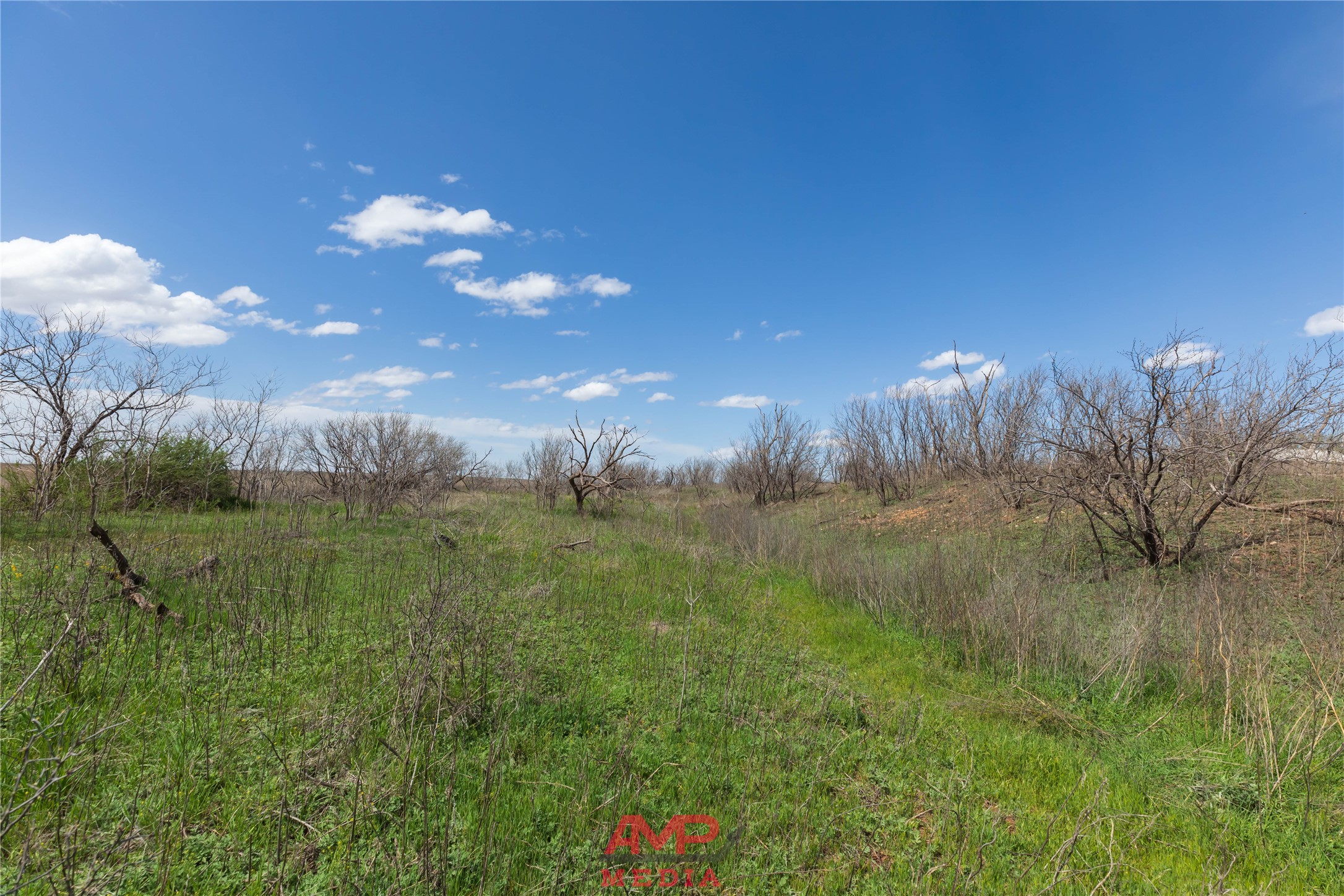 tract 3 CR 463, Anson, TX, 79501