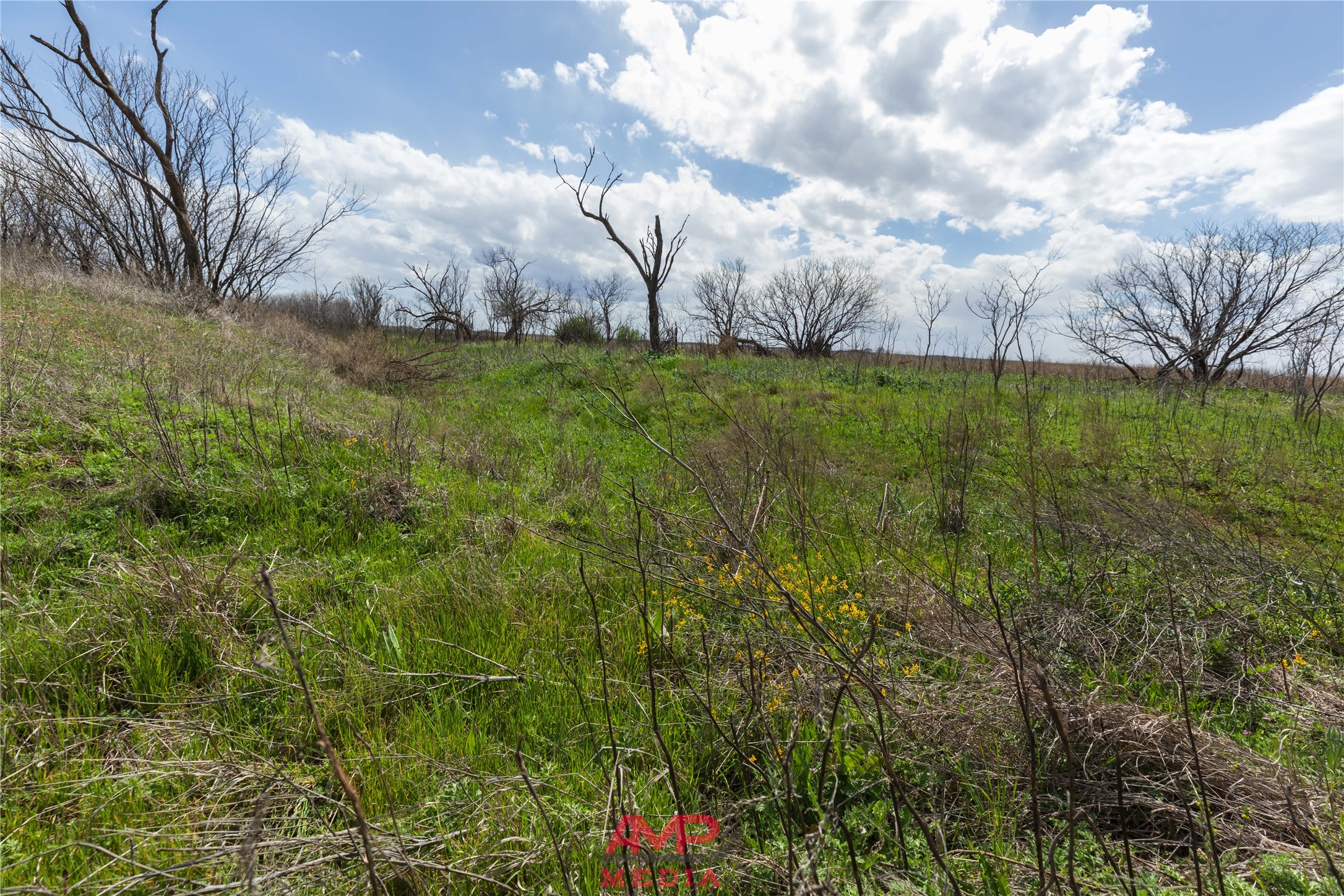 tract 3 CR 463, Anson, TX, 79501