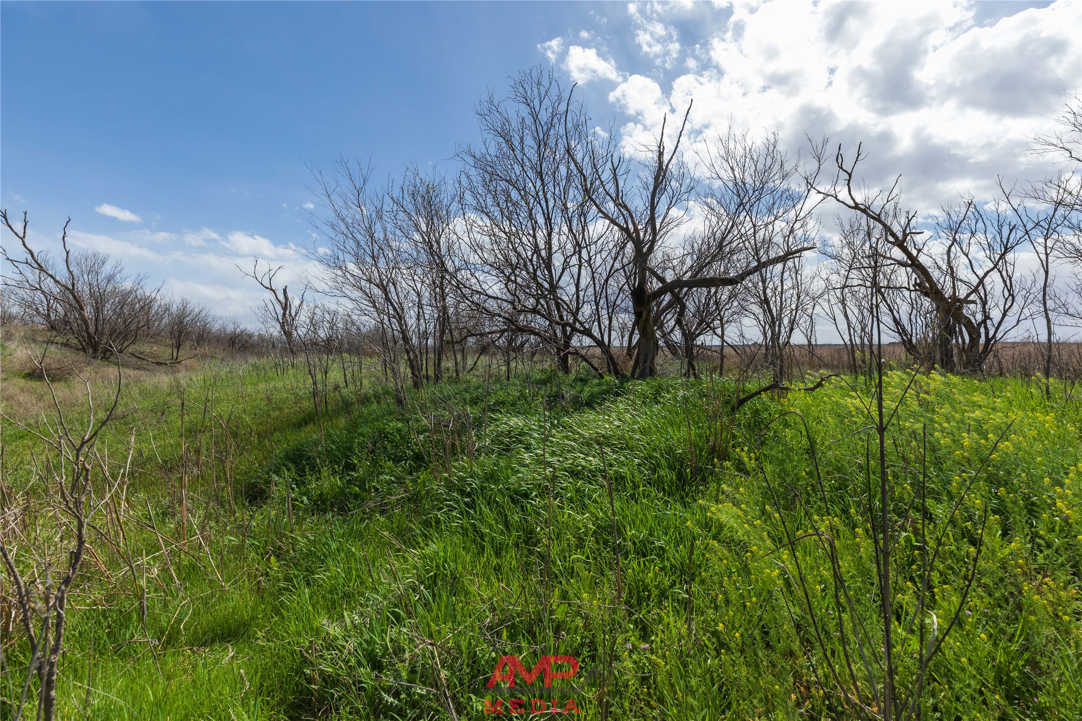 tract 3 CR 463, Anson, TX, 79501