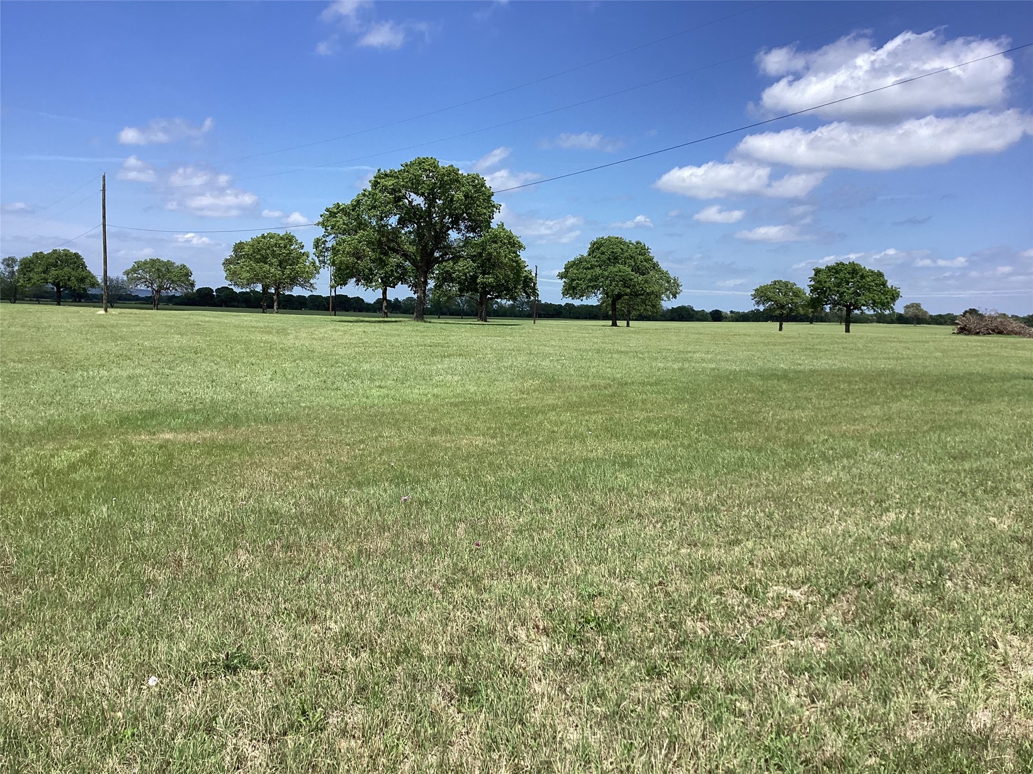 TBD Brown, Palo Pinto, TX, 76484