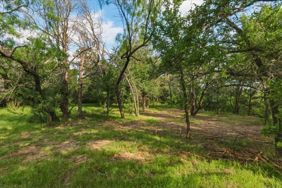 1370 Capstone Ridge Drive, Santo, TX, 76472